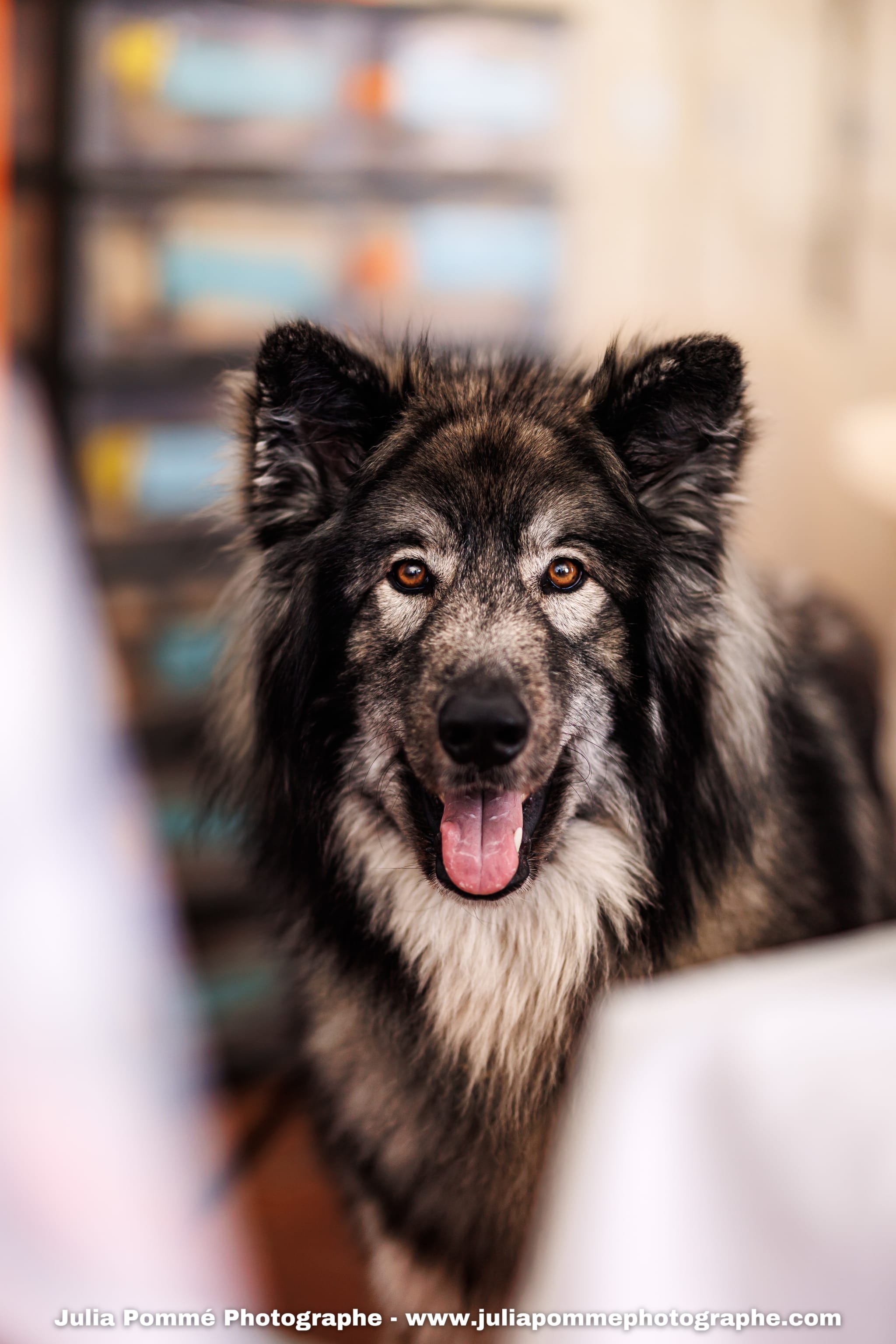 Photo du salon 2025 par Julia Pommé Photographe.