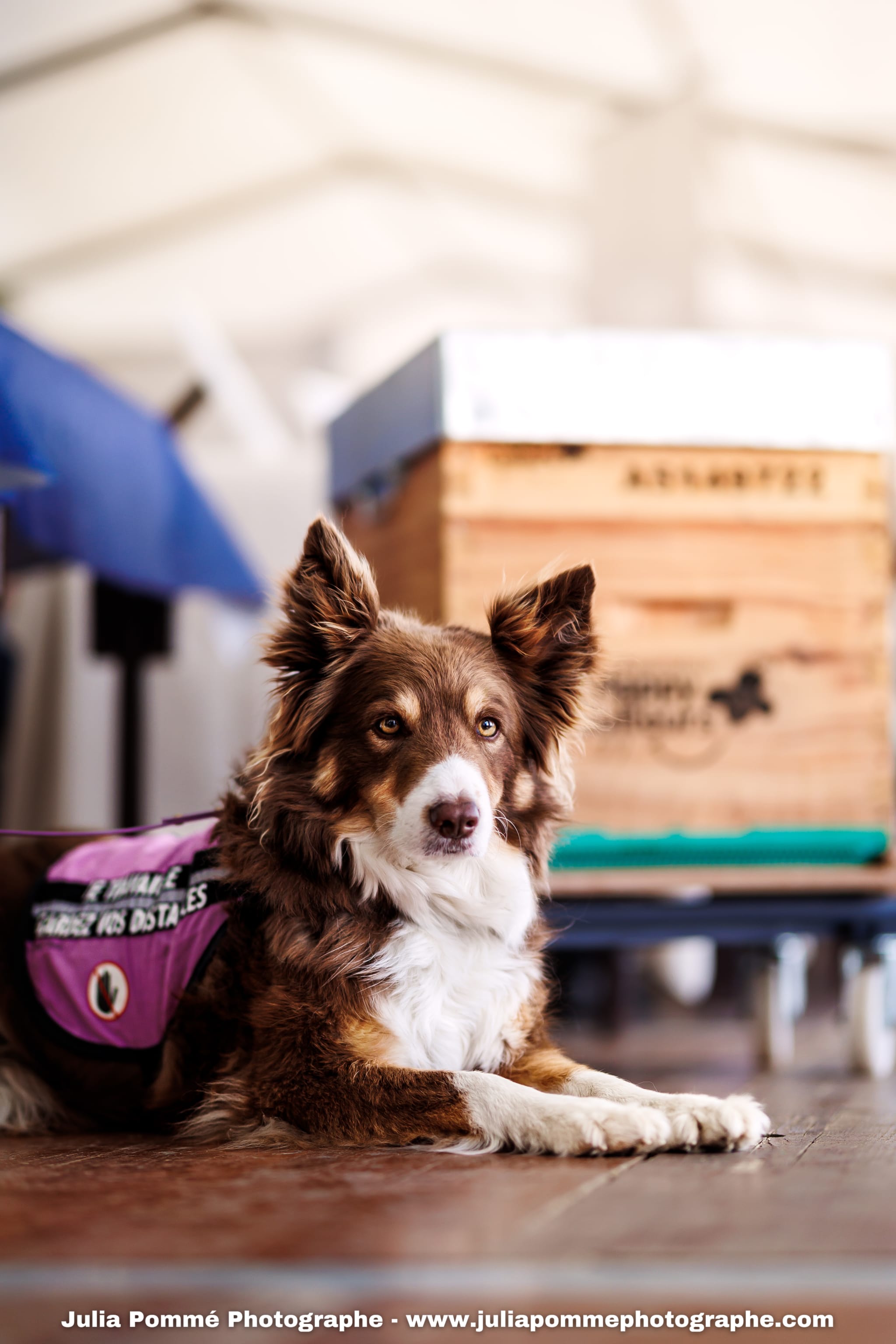 Photo du salon 2025 par Julia Pommé Photographe.