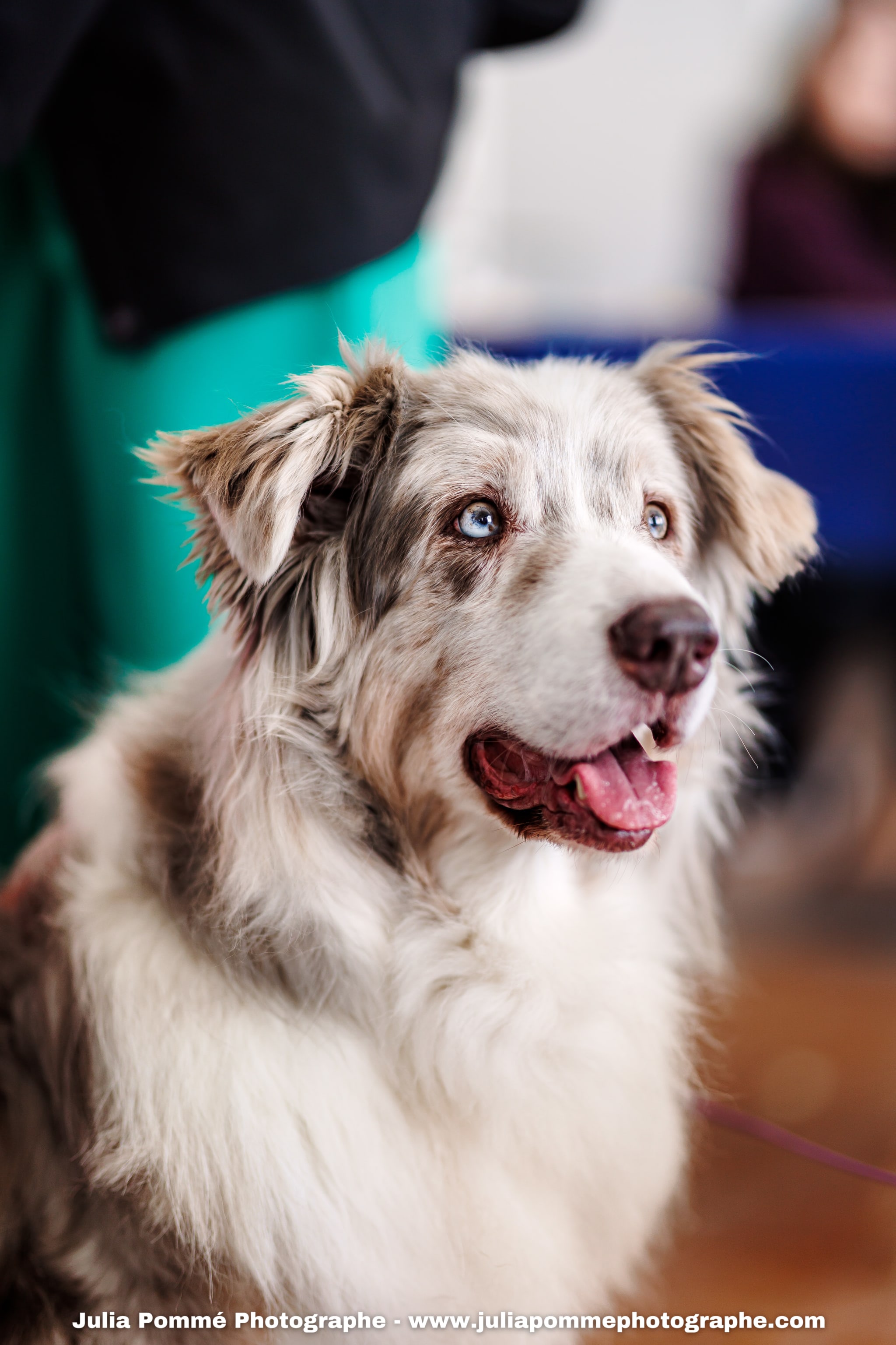 Photo du salon 2025 par Julia Pommé Photographe.