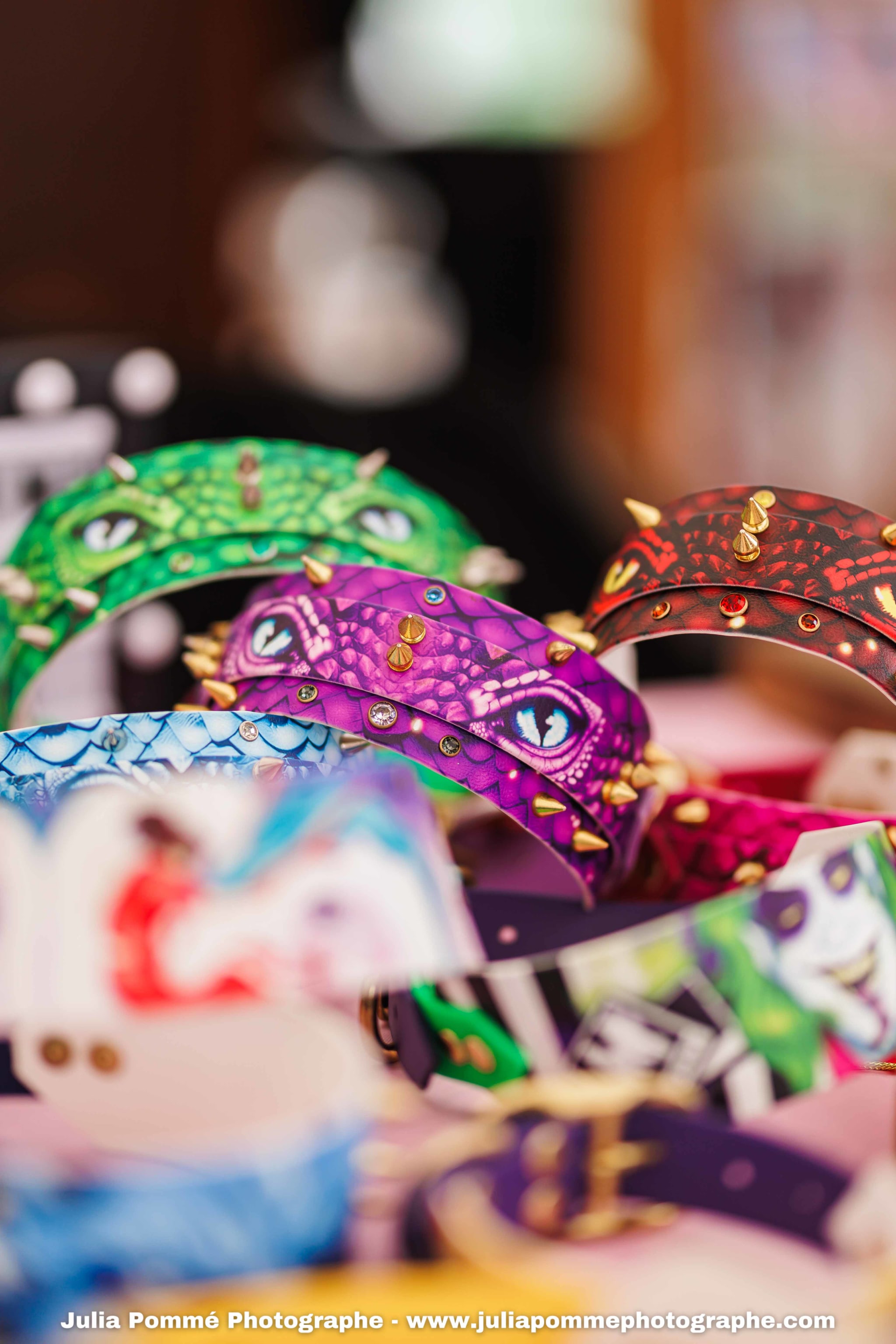 Photo du salon 2025 par Julia Pommé Photographe.