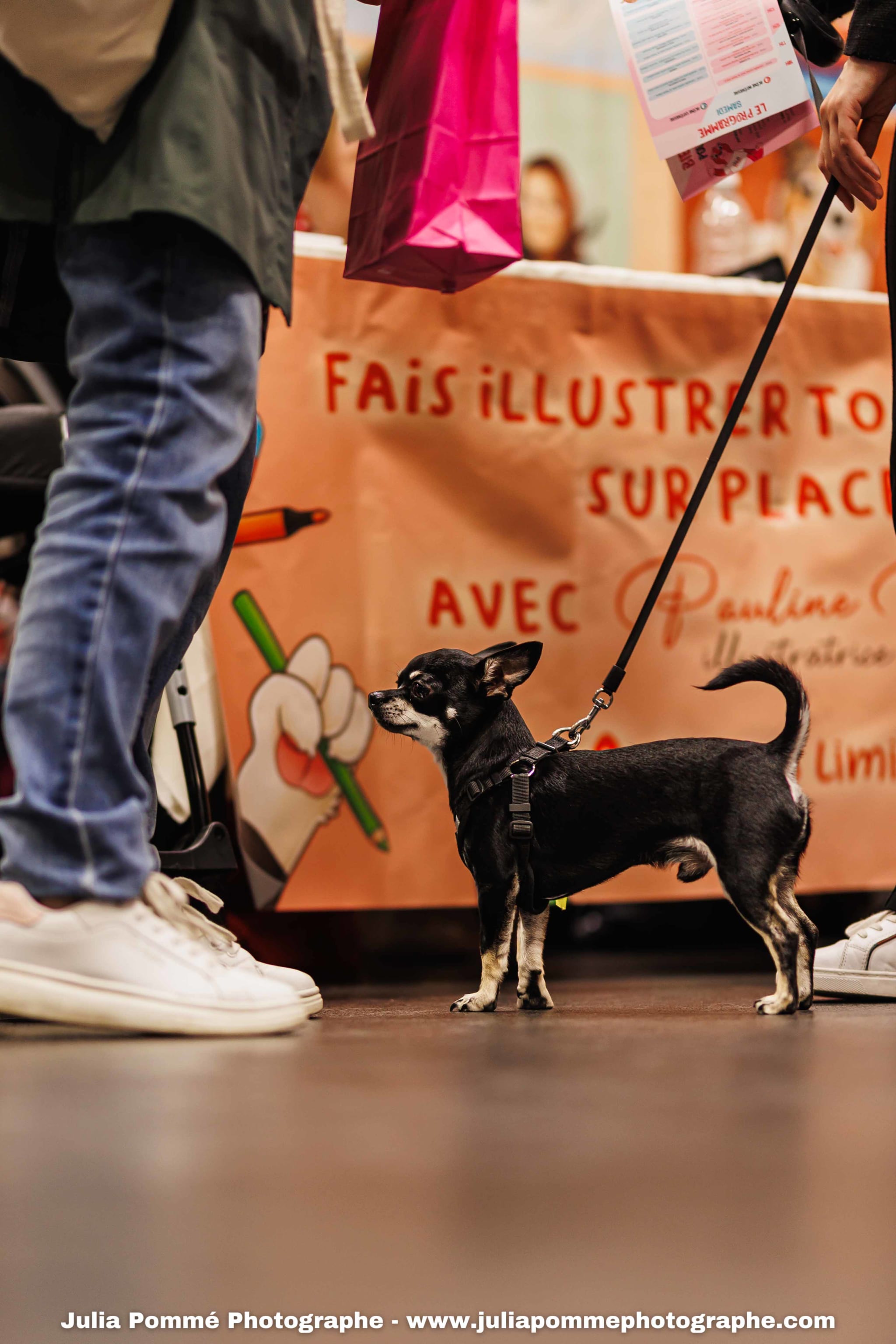 Photo du salon 2025 par Julia Pommé Photographe.