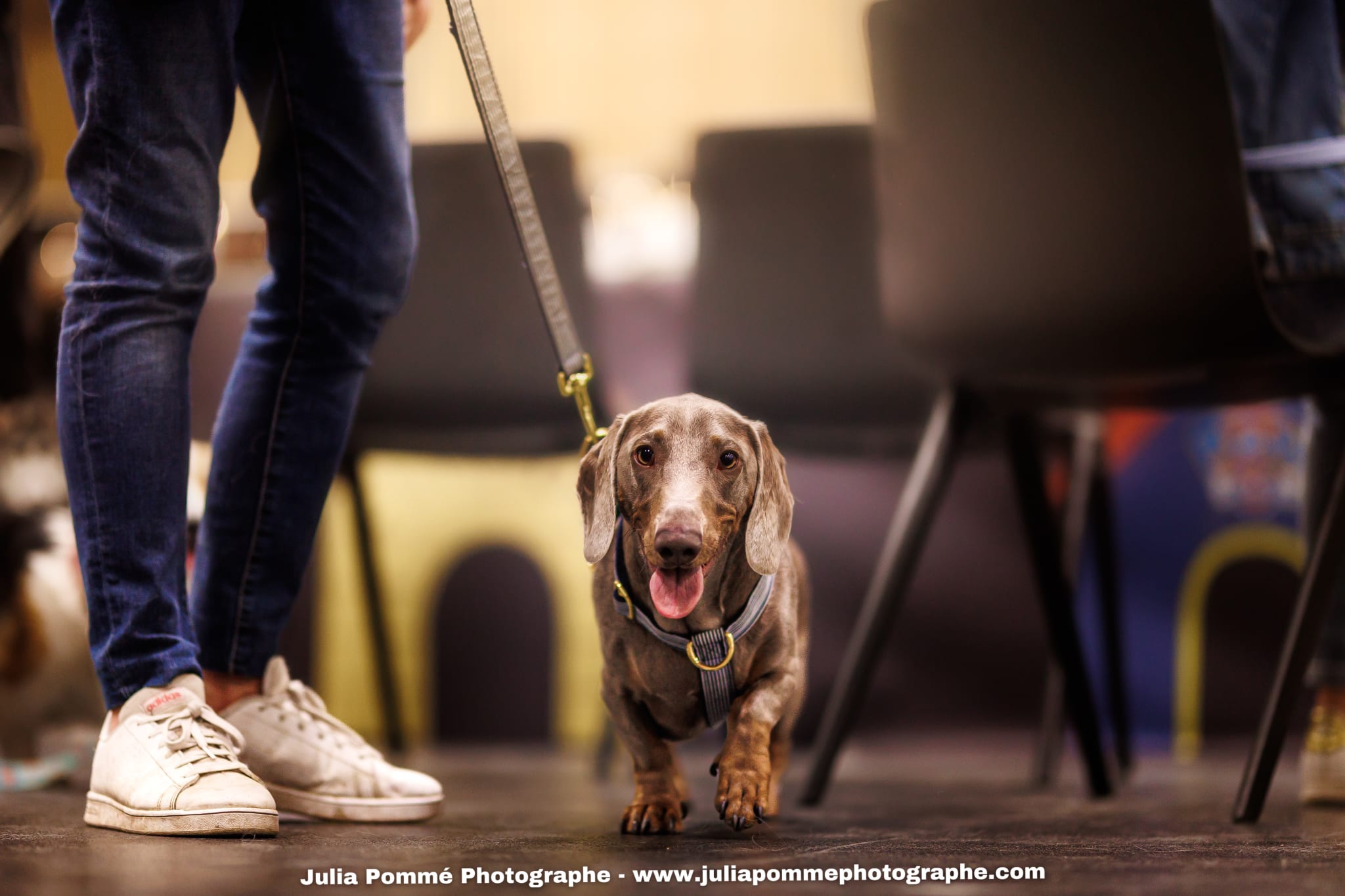 Photo du salon 2025 par Julia Pommé Photographe.