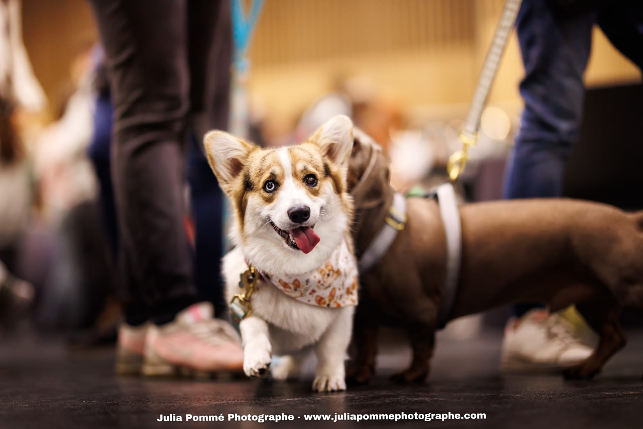 Photo du salon 2025 par Julia Pommé Photographe.