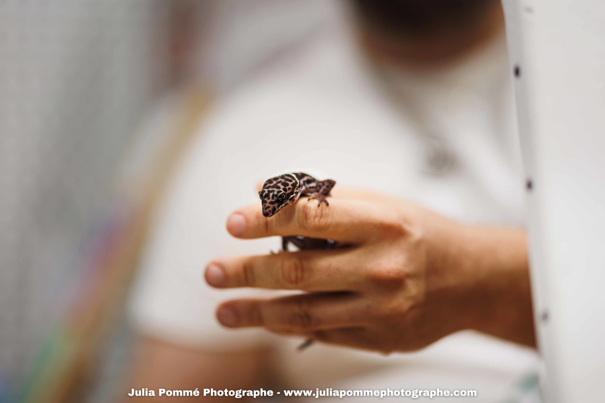 Photo du salon 2025 par Julia Pommé Photographe.