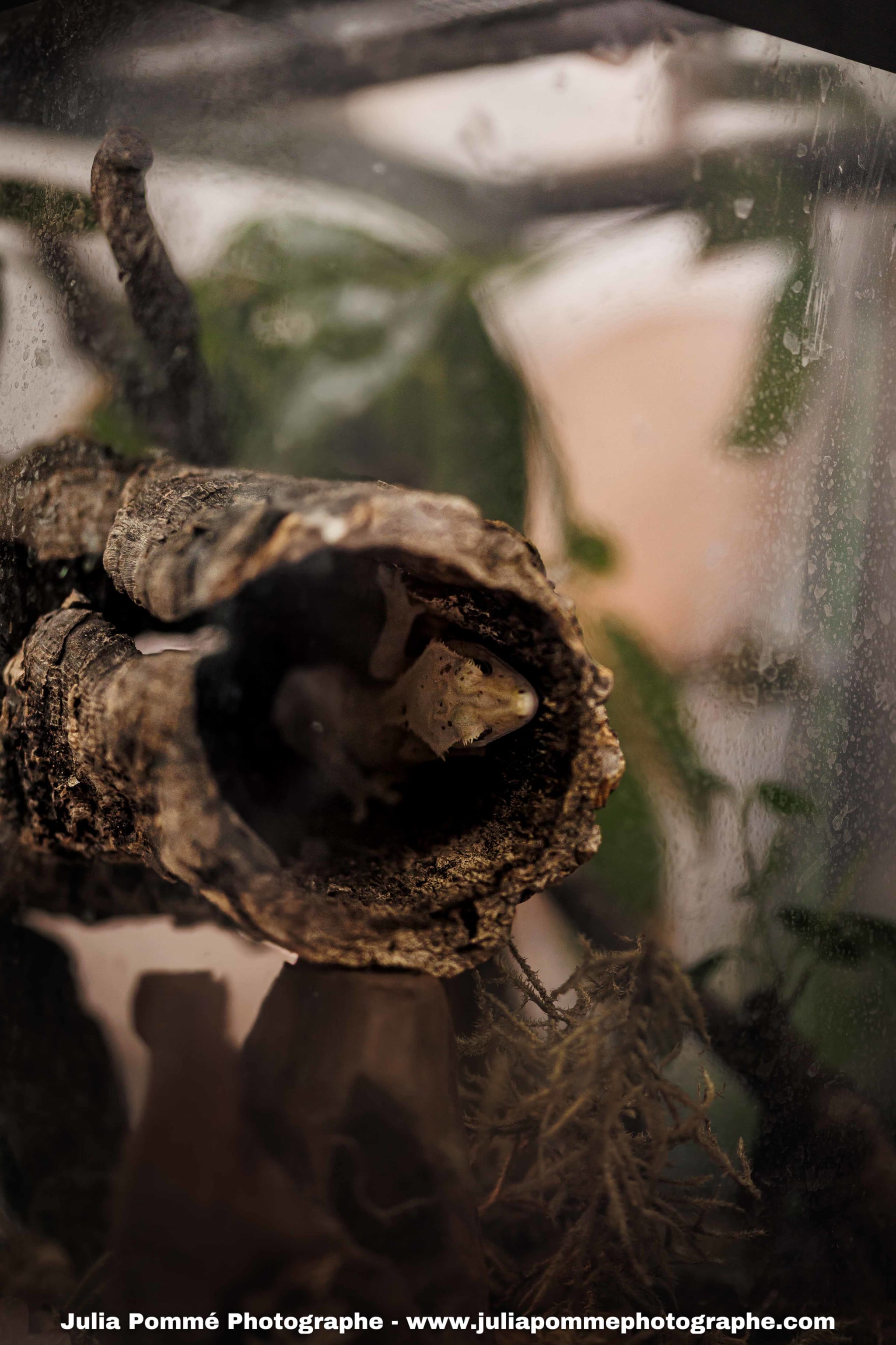 Photo du salon 2025 par Julia Pommé Photographe.