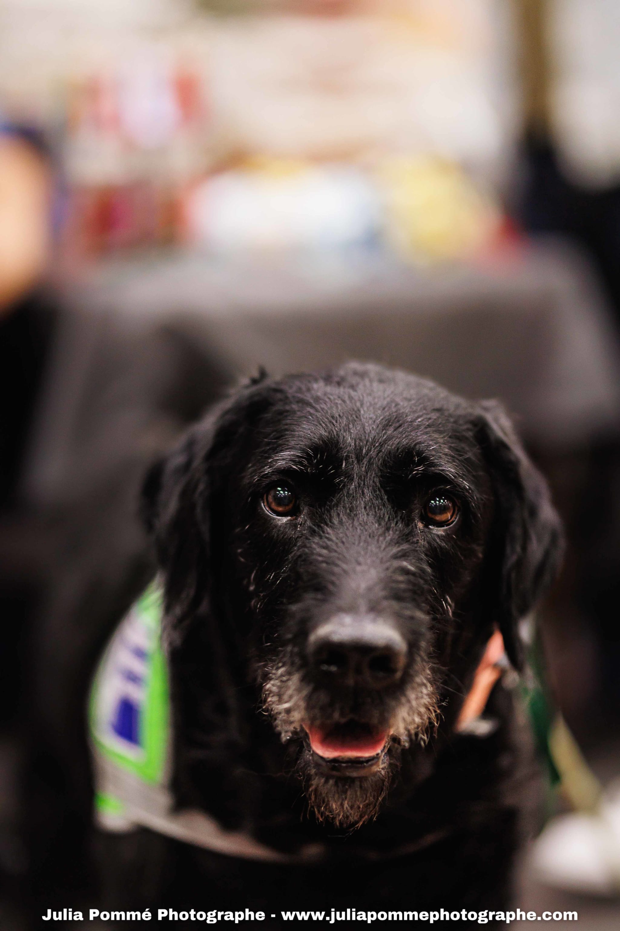 Photo du salon 2025 par Julia Pommé Photographe.