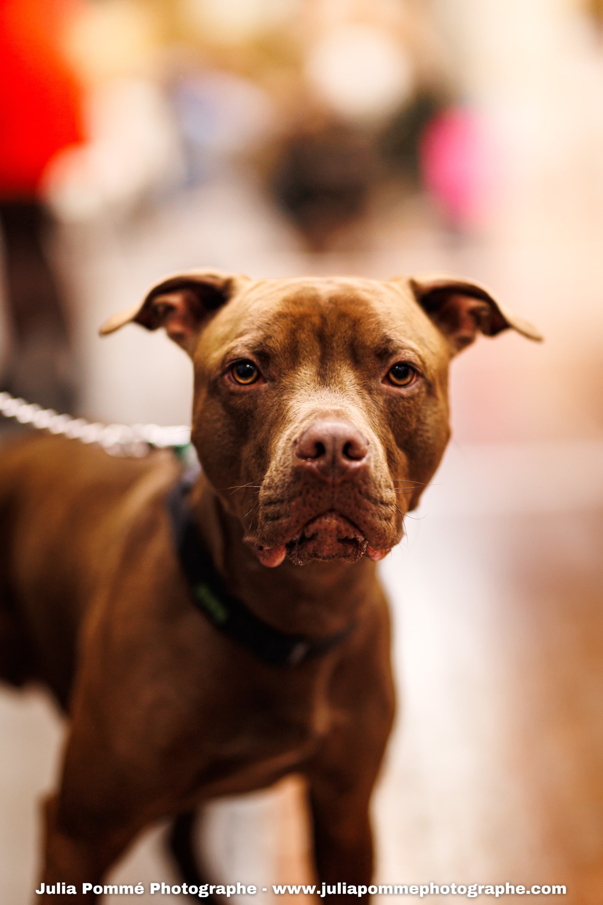 Photo du salon 2025 par Julia Pommé Photographe.