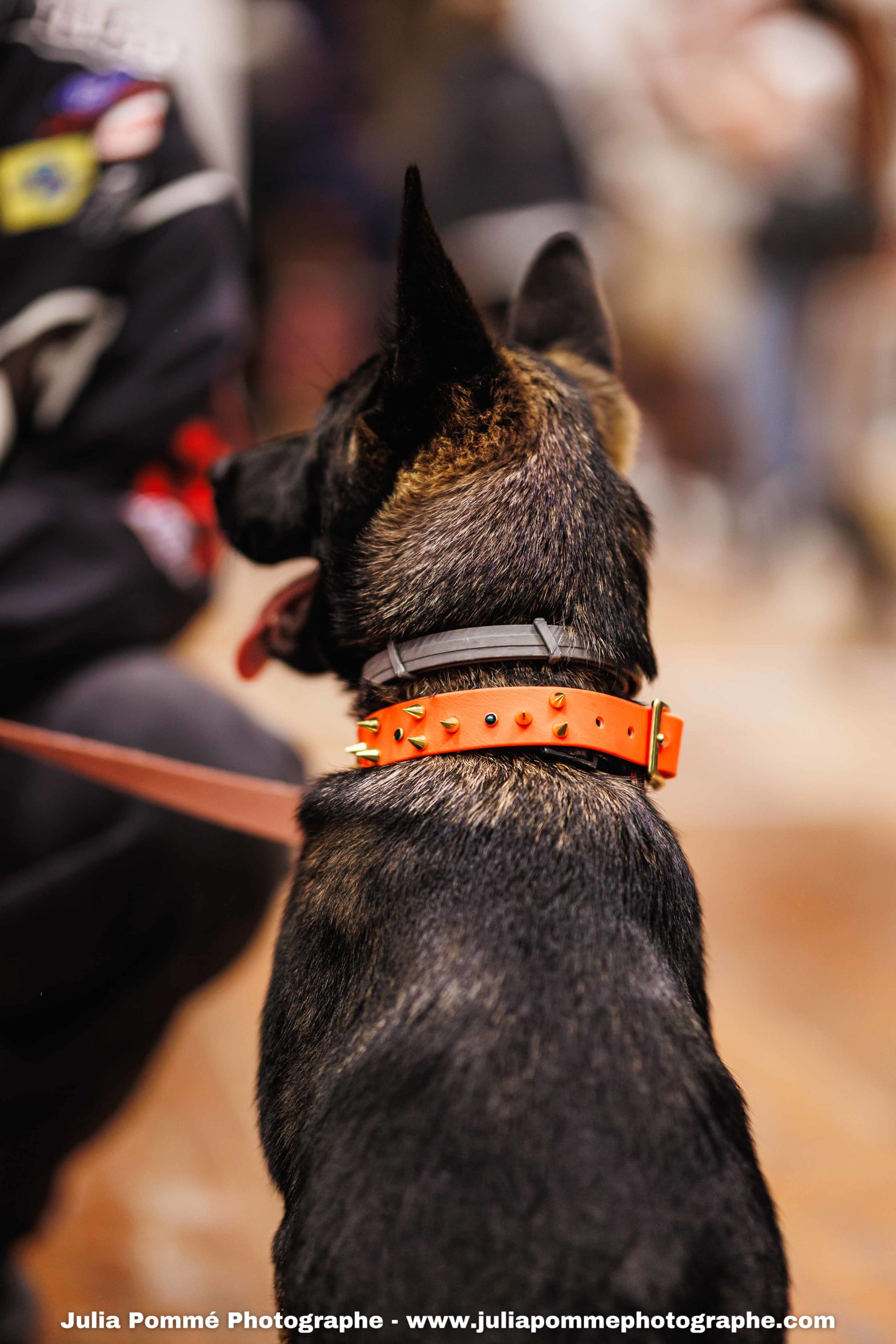 Photo du salon 2025 par Julia Pommé Photographe.