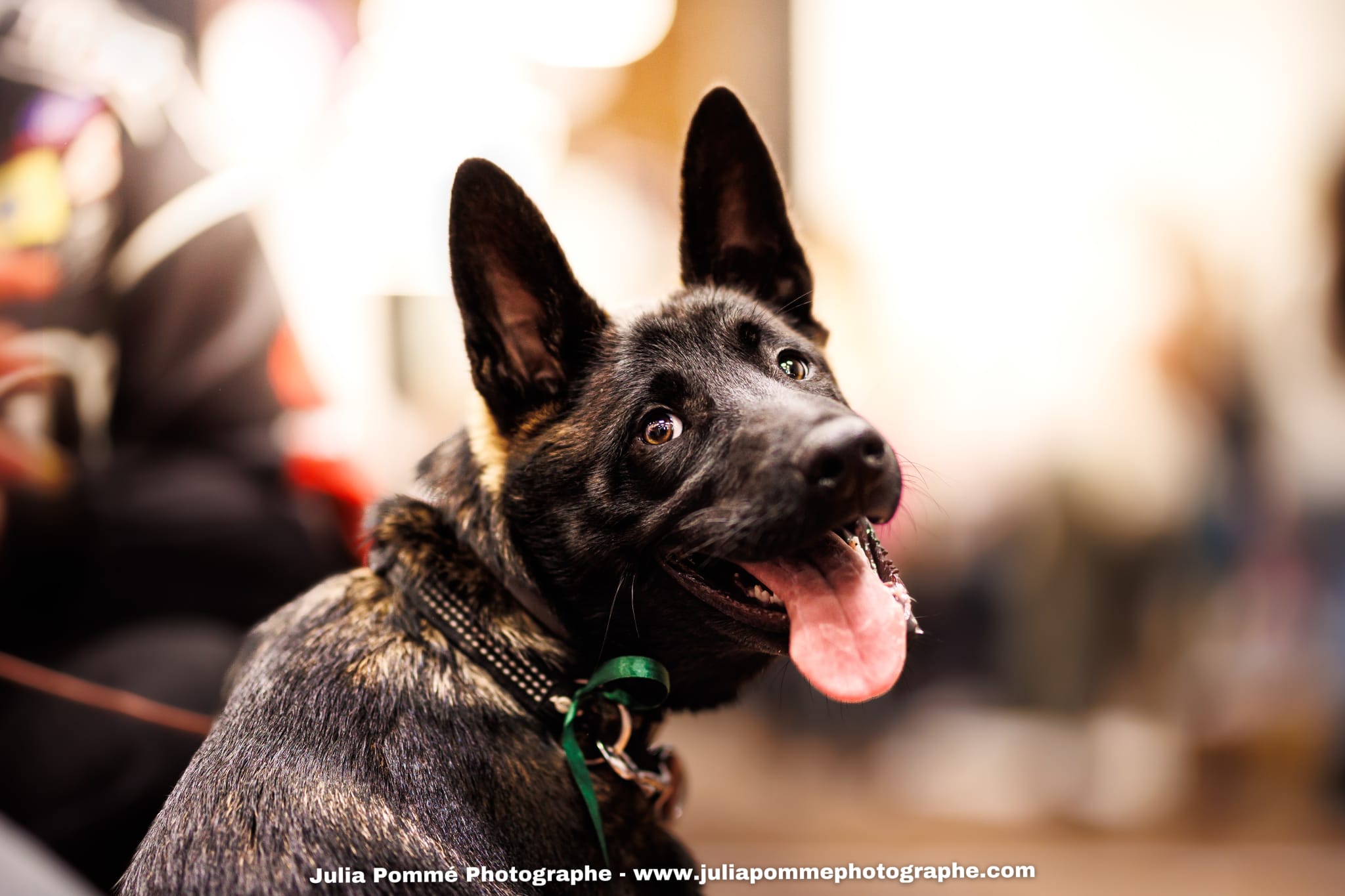 Photo du salon 2025 par Julia Pommé Photographe.