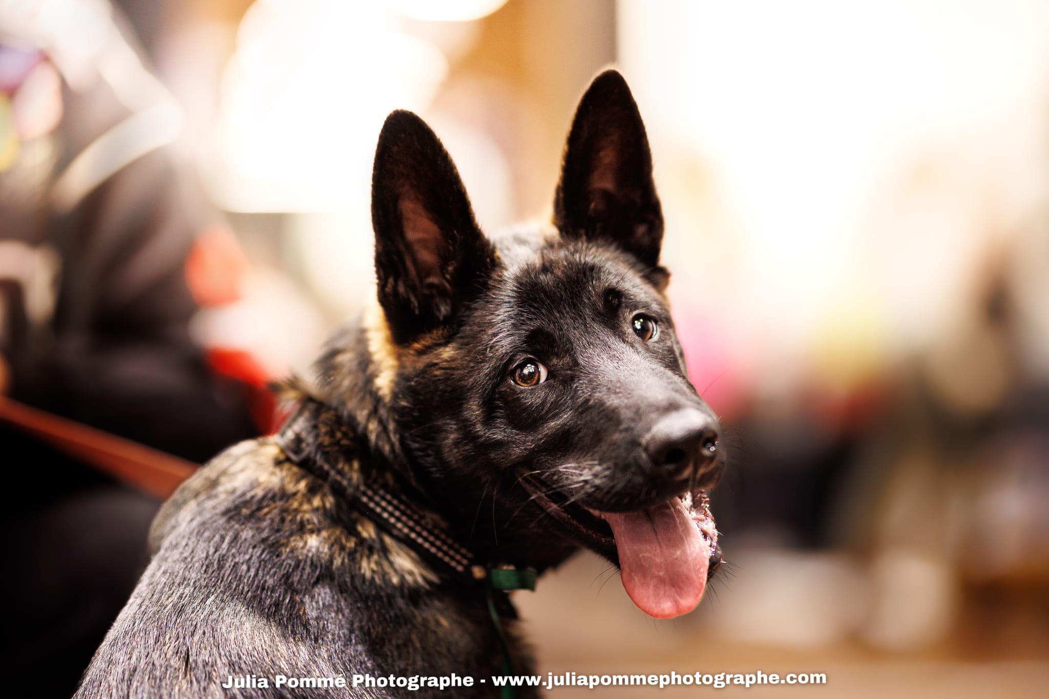 Photo du salon 2025 par Julia Pommé Photographe.
