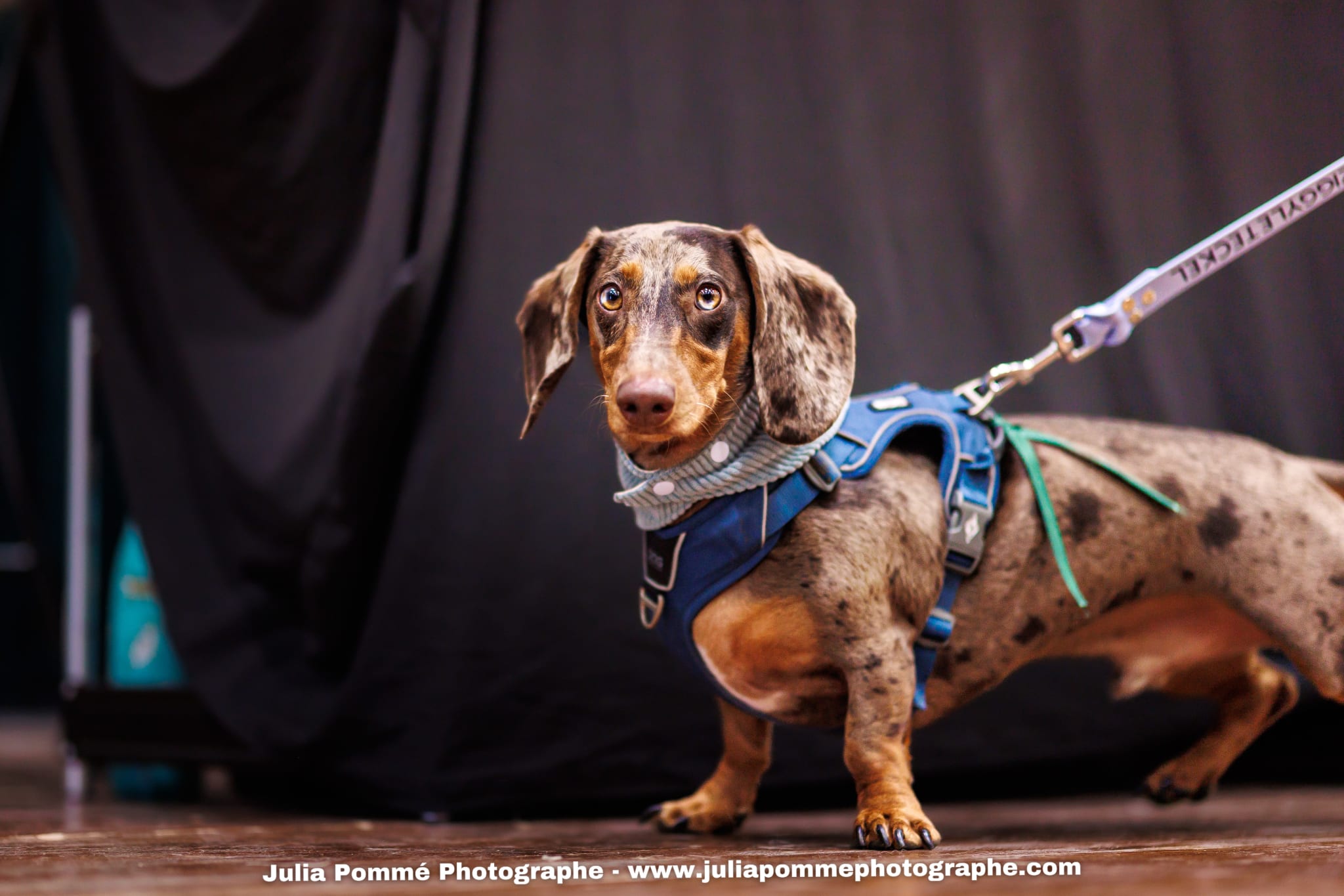 Photo du salon 2025 par Julia Pommé Photographe.