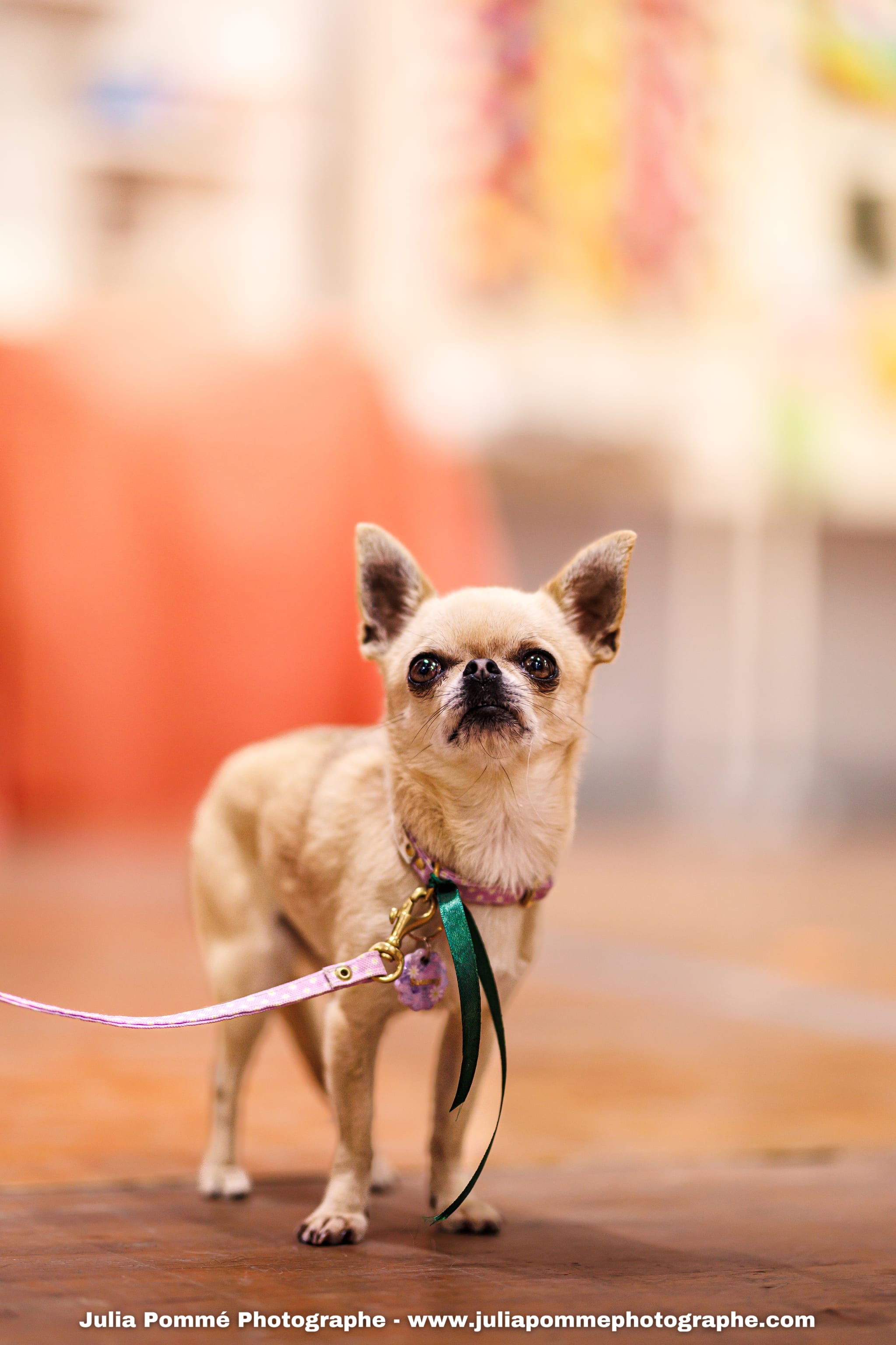 Photo du salon 2025 par Julia Pommé Photographe.