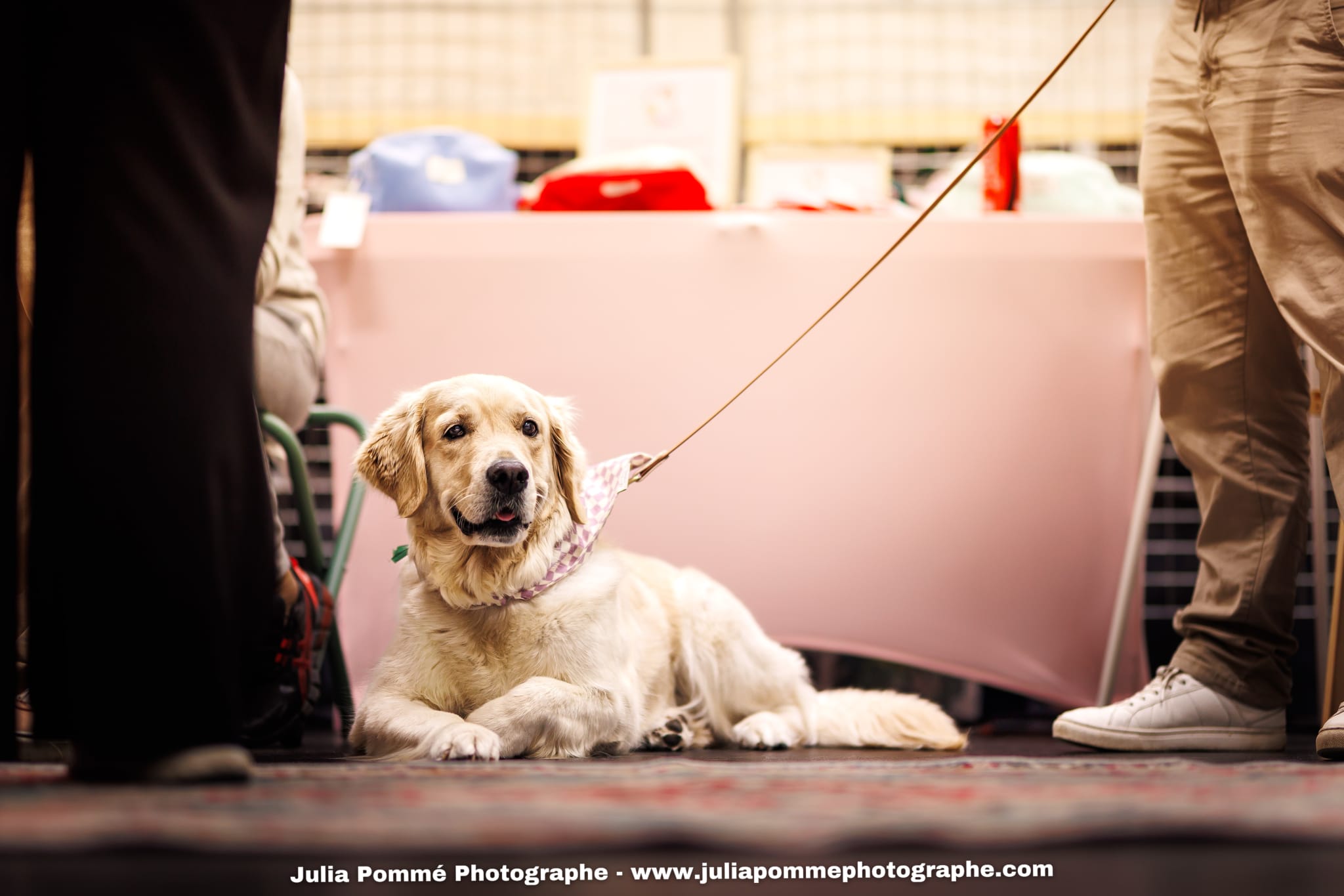 Photo du salon 2025 par Julia Pommé Photographe.