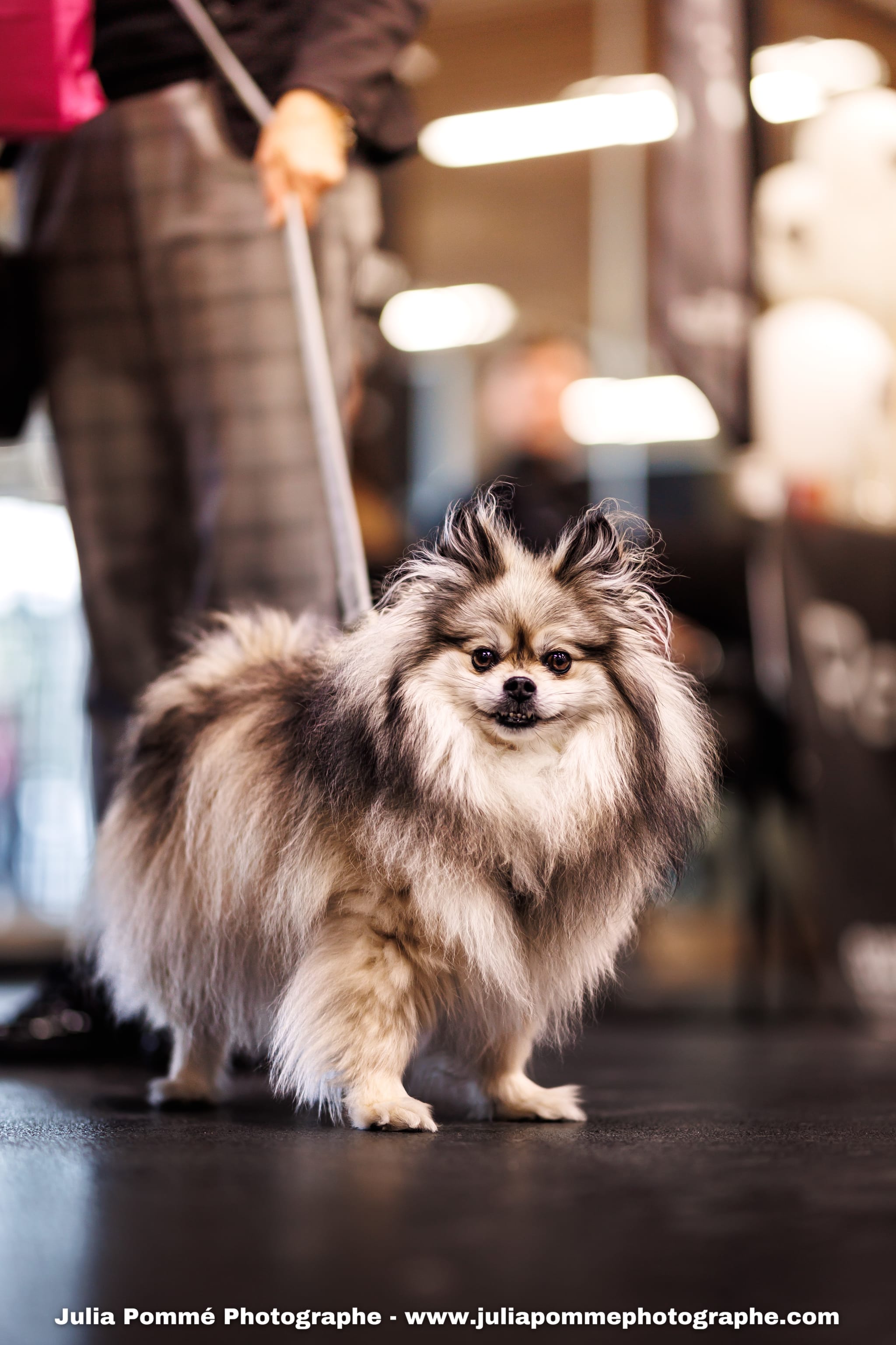 Photo du salon 2025 par Julia Pommé Photographe.