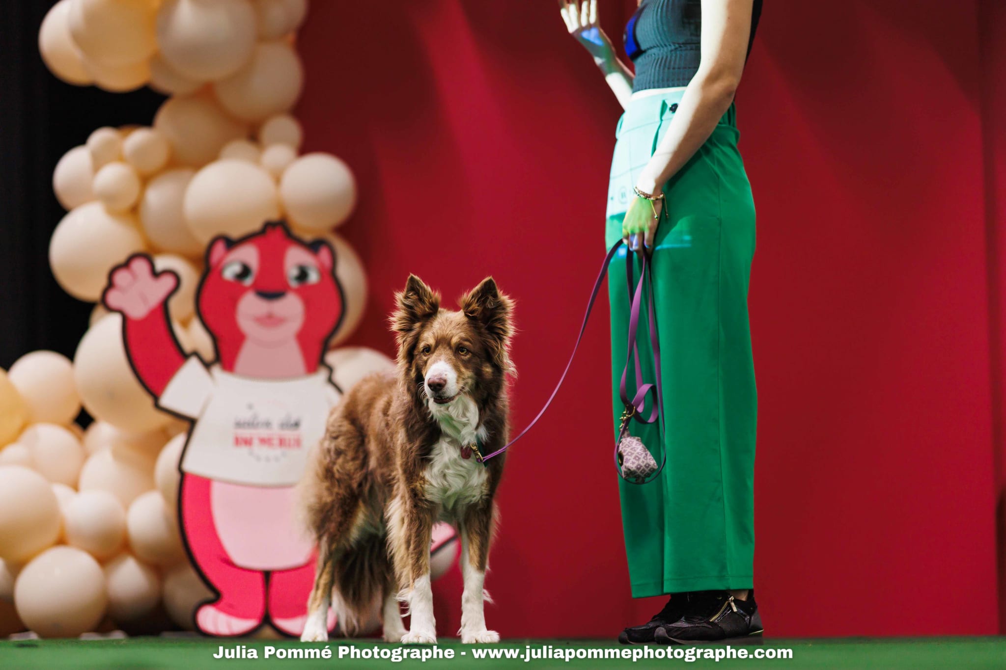 Photo du salon 2025 par Julia Pommé Photographe.