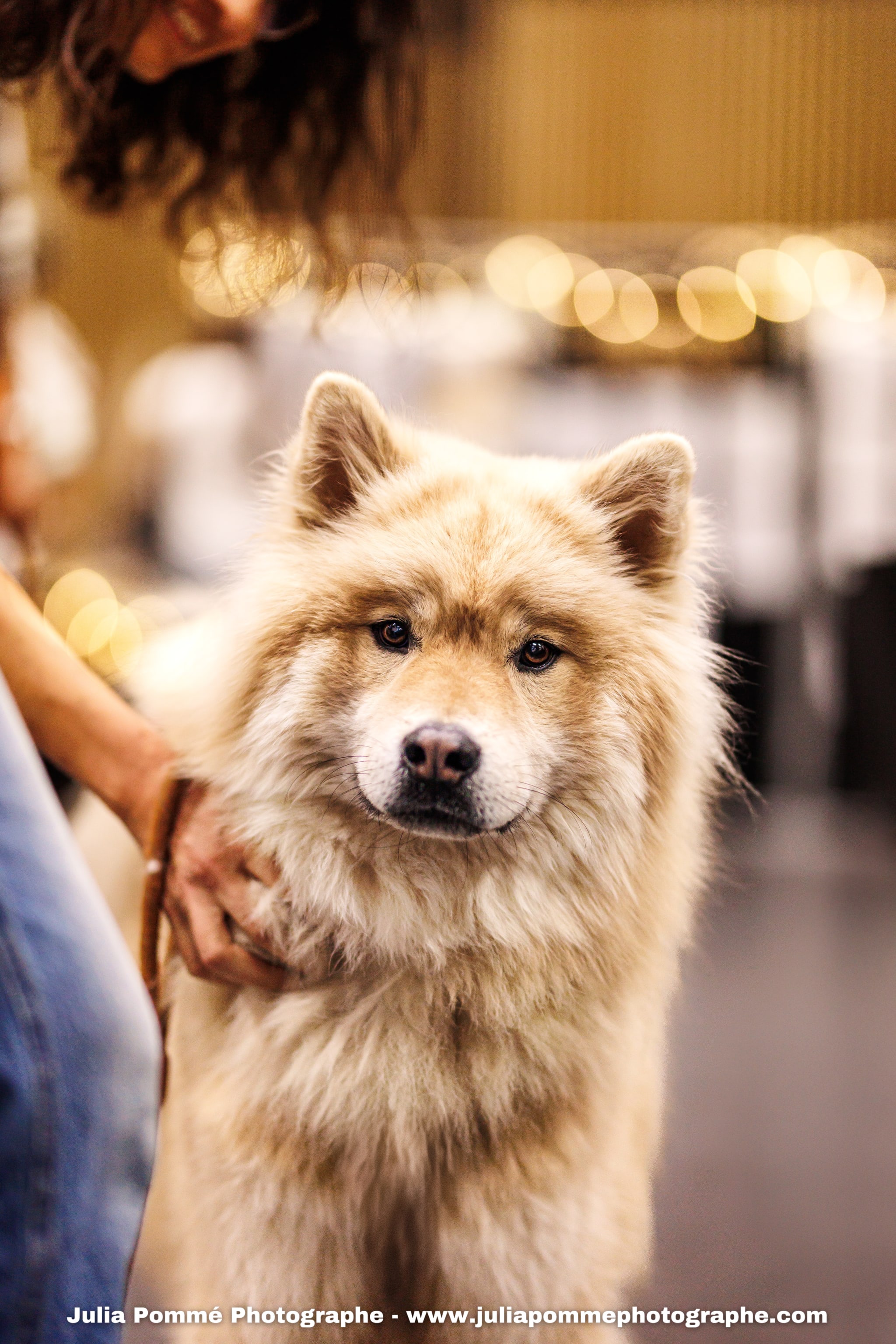 Photo du salon 2025 par Julia Pommé Photographe.