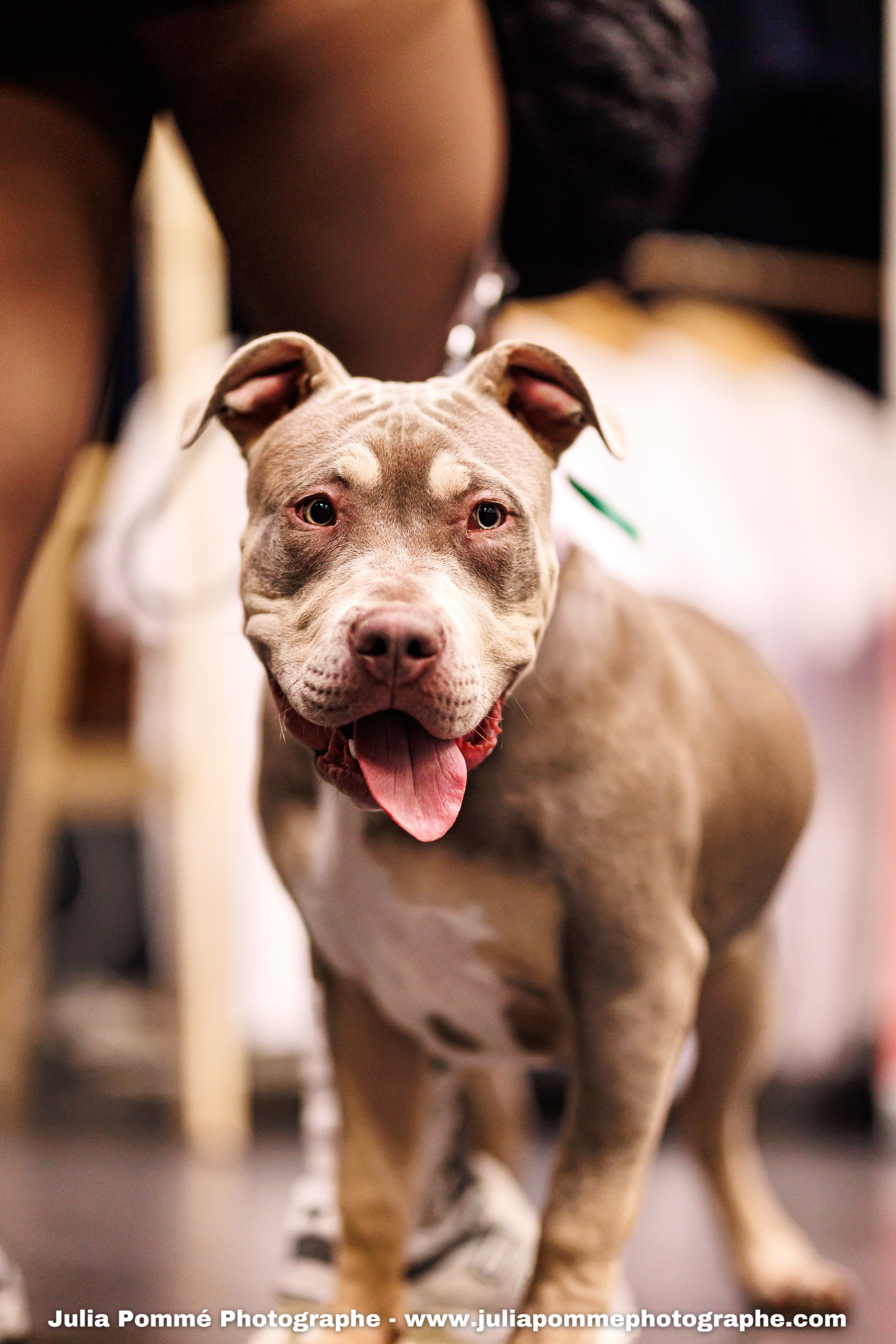 Photo du salon 2025 par Julia Pommé Photographe.