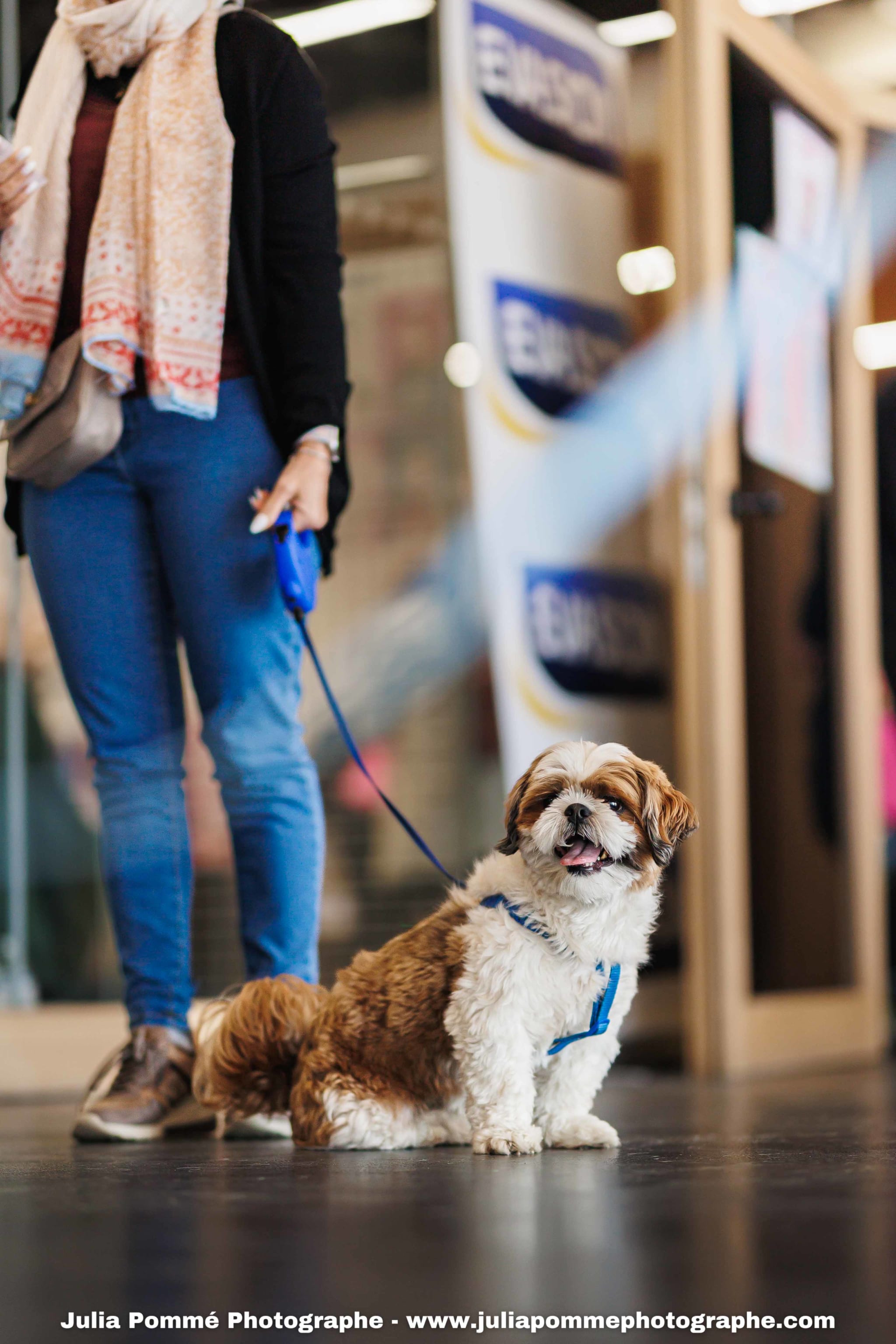 Photo du salon 2025 par Julia Pommé Photographe.