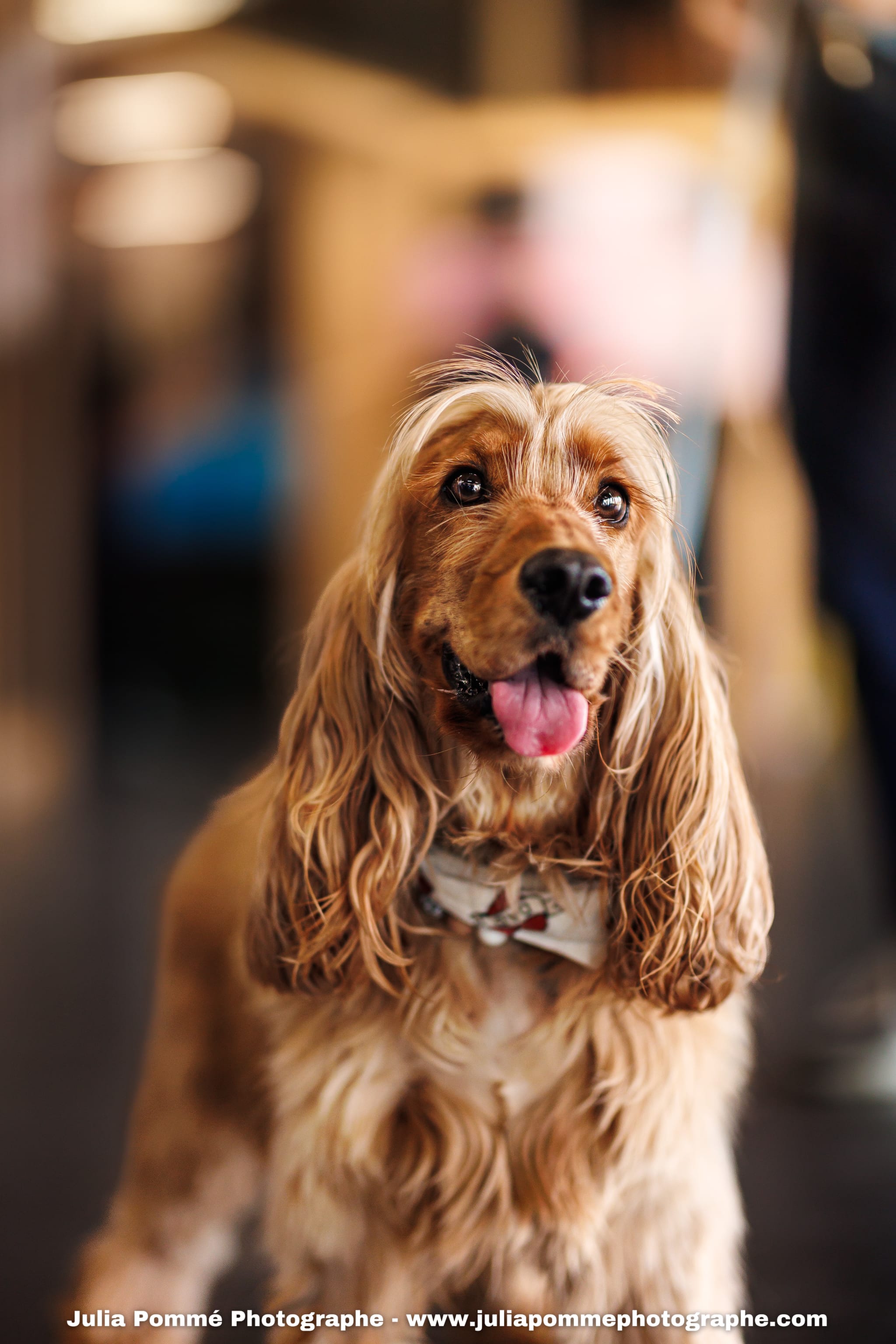 Photo du salon 2025 par Julia Pommé Photographe.
