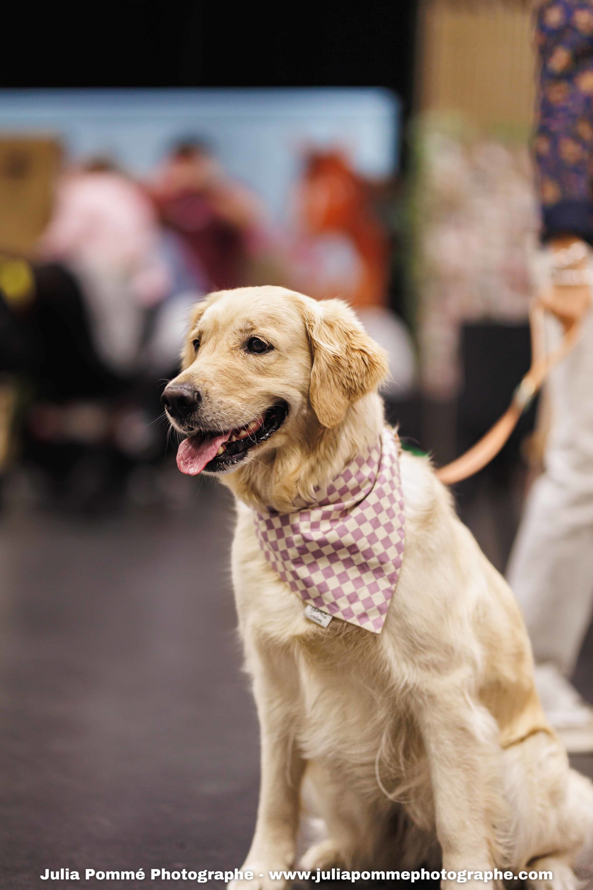 Photo du salon 2025 par Julia Pommé Photographe.