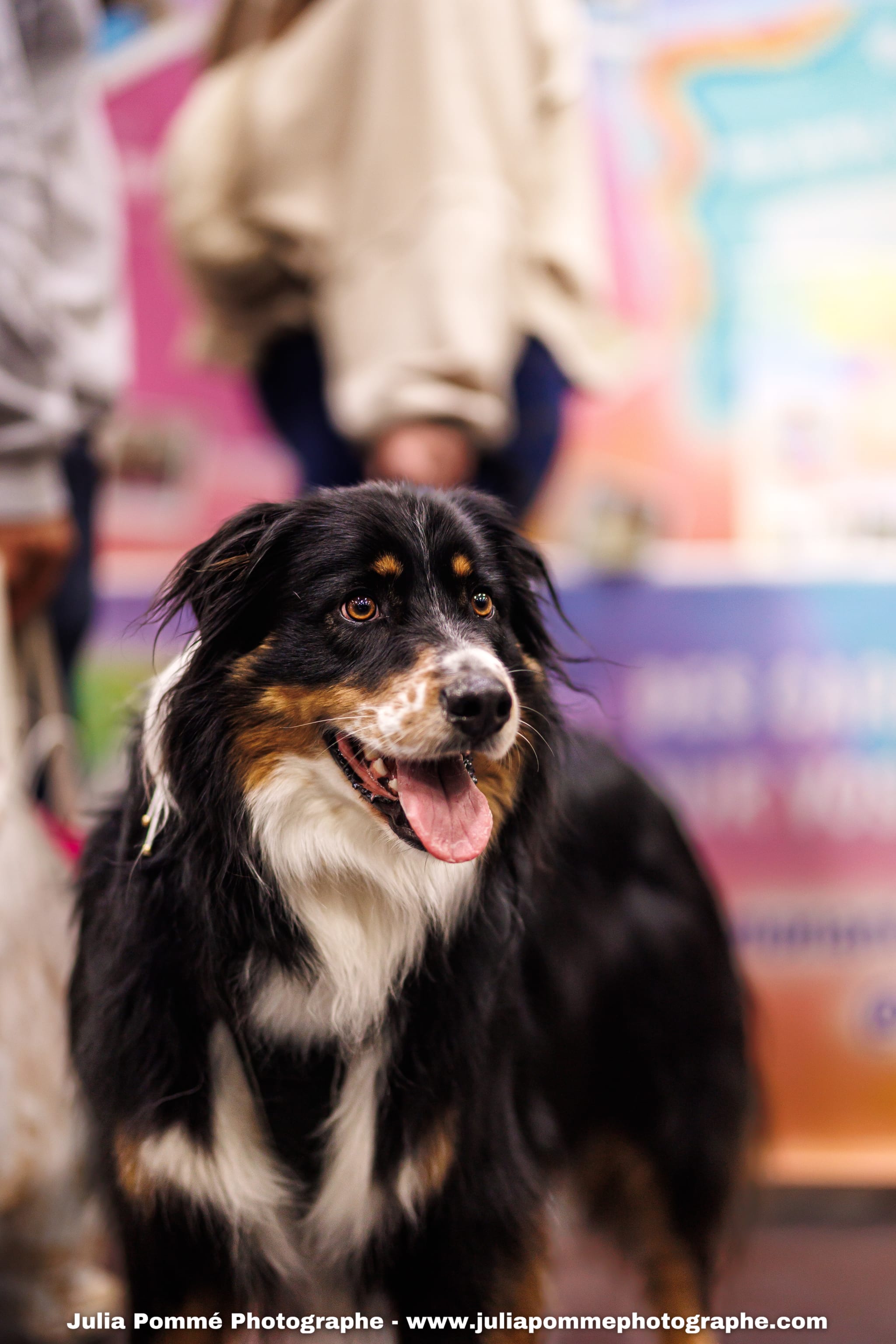 Photo du salon 2025 par Julia Pommé Photographe.