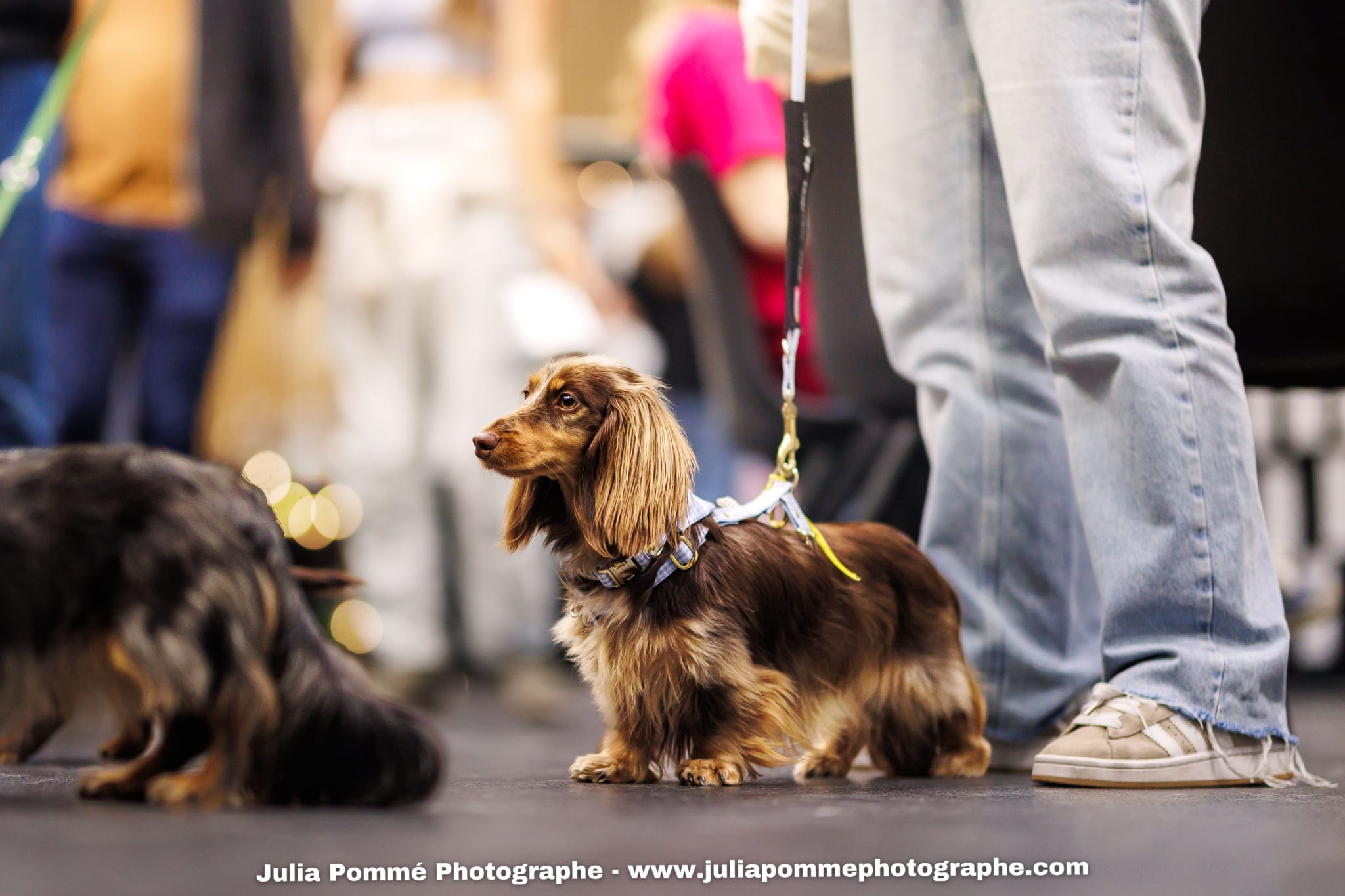 Photo du salon 2025 par Julia Pommé Photographe.