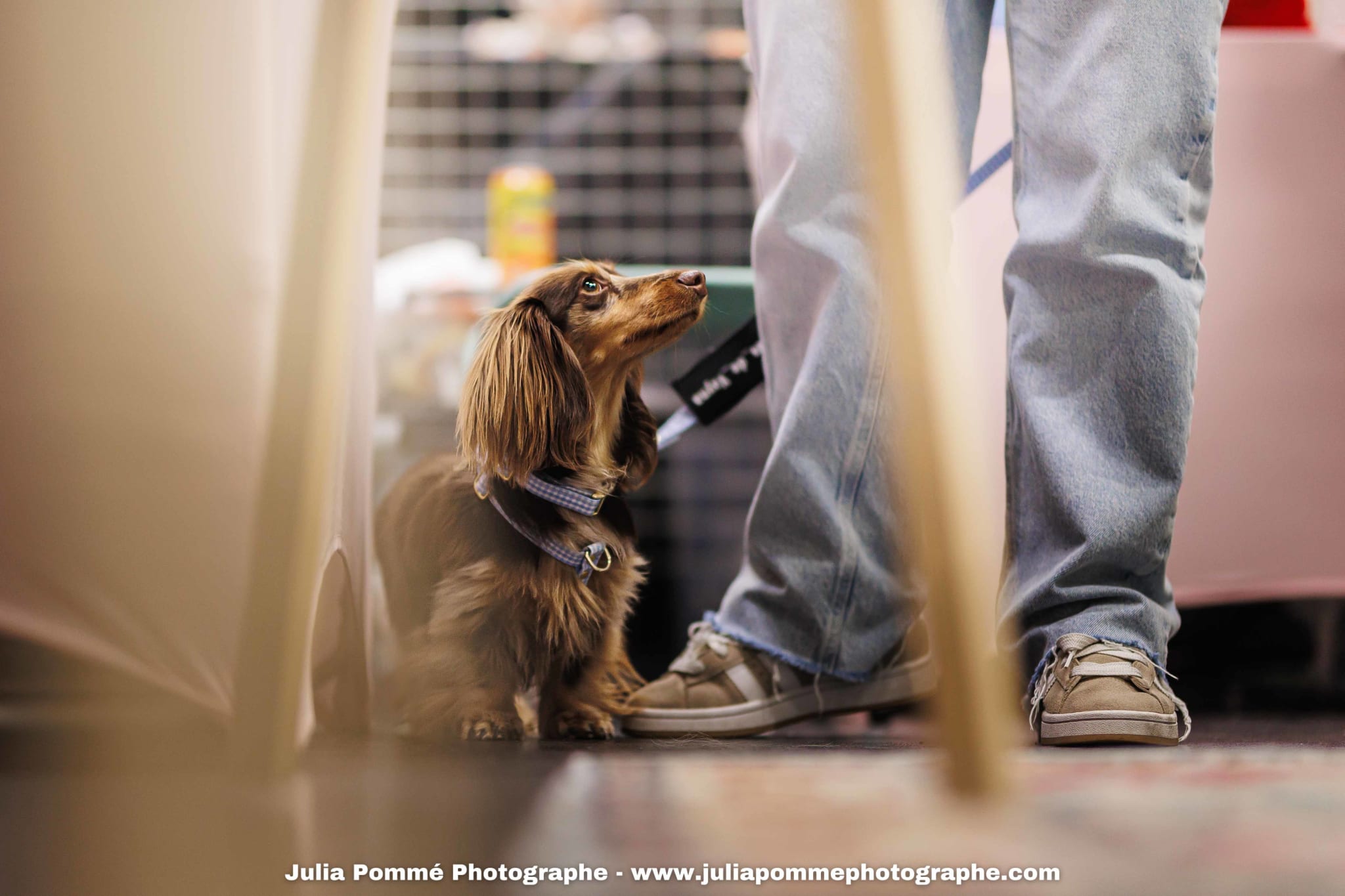 Photo du salon 2025 par Julia Pommé Photographe.
