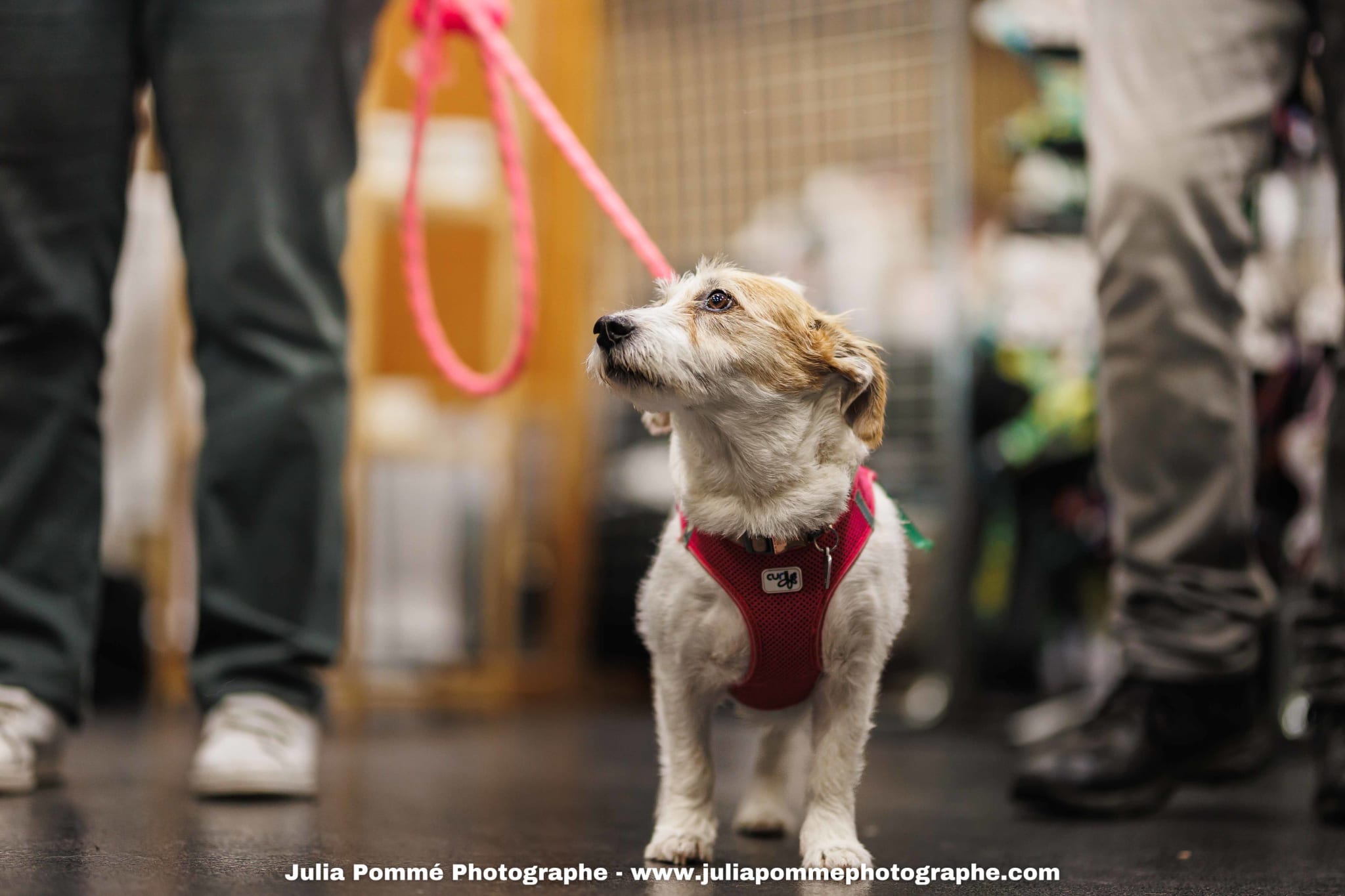 Photo du salon 2025 par Julia Pommé Photographe.