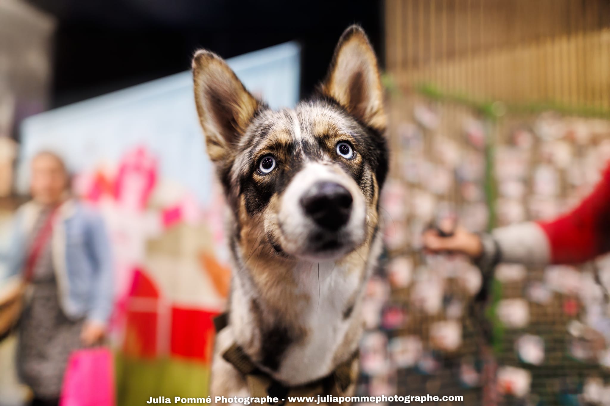 Photo du salon 2025 par Julia Pommé Photographe.