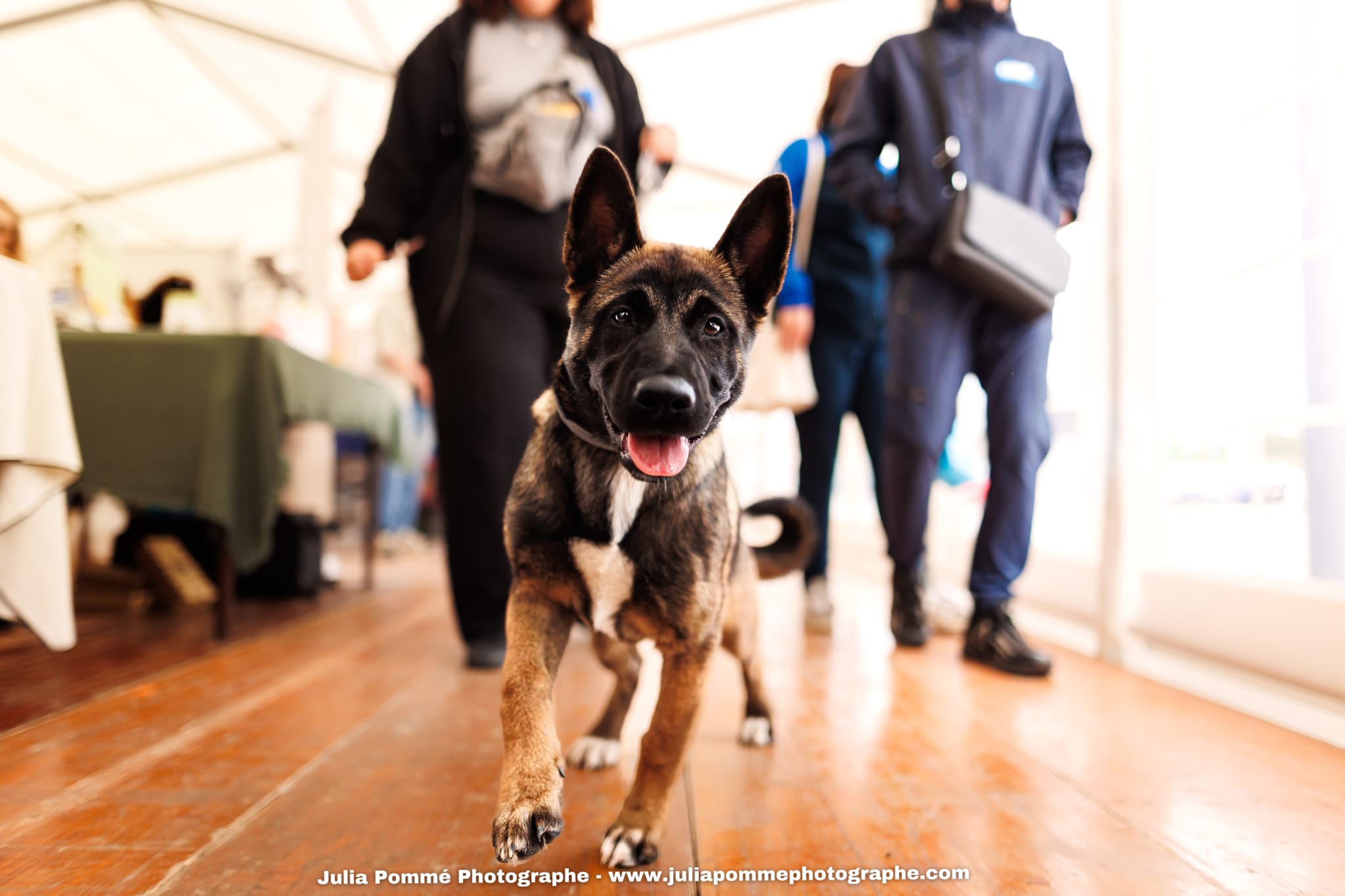 Photo du salon 2025 par Julia Pommé Photographe.