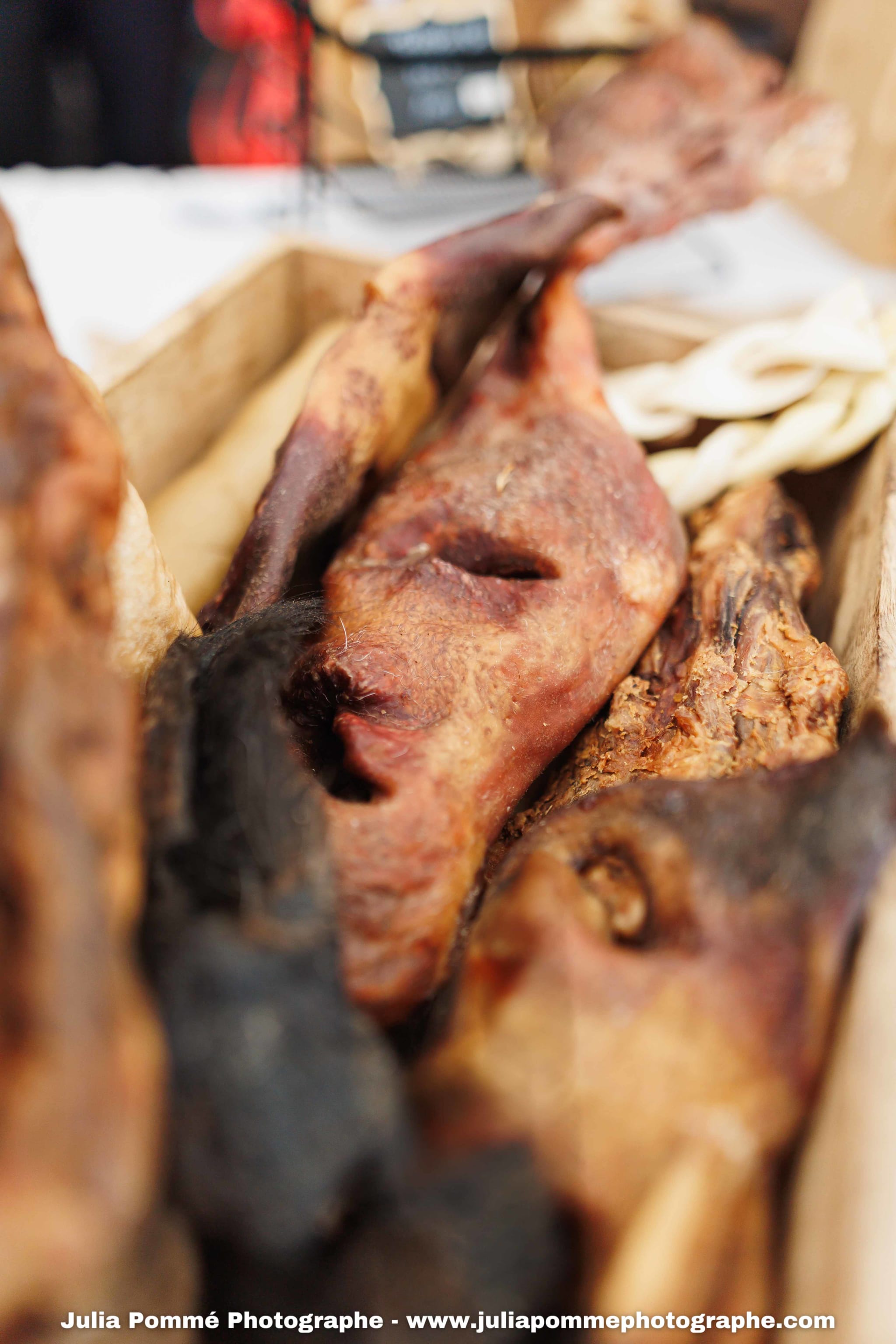 Photo du salon 2025 par Julia Pommé Photographe.