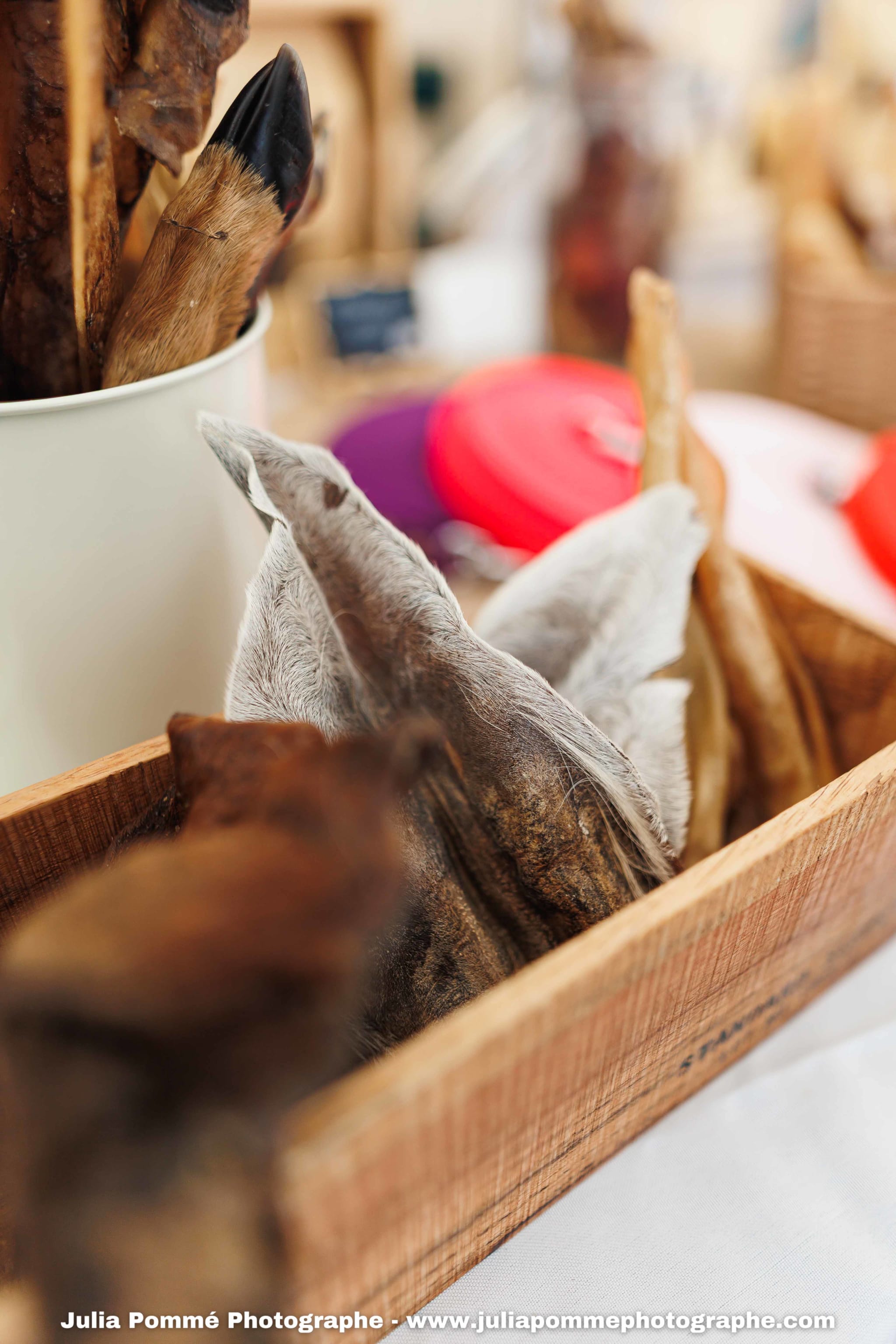 Photo du salon 2025 par Julia Pommé Photographe.