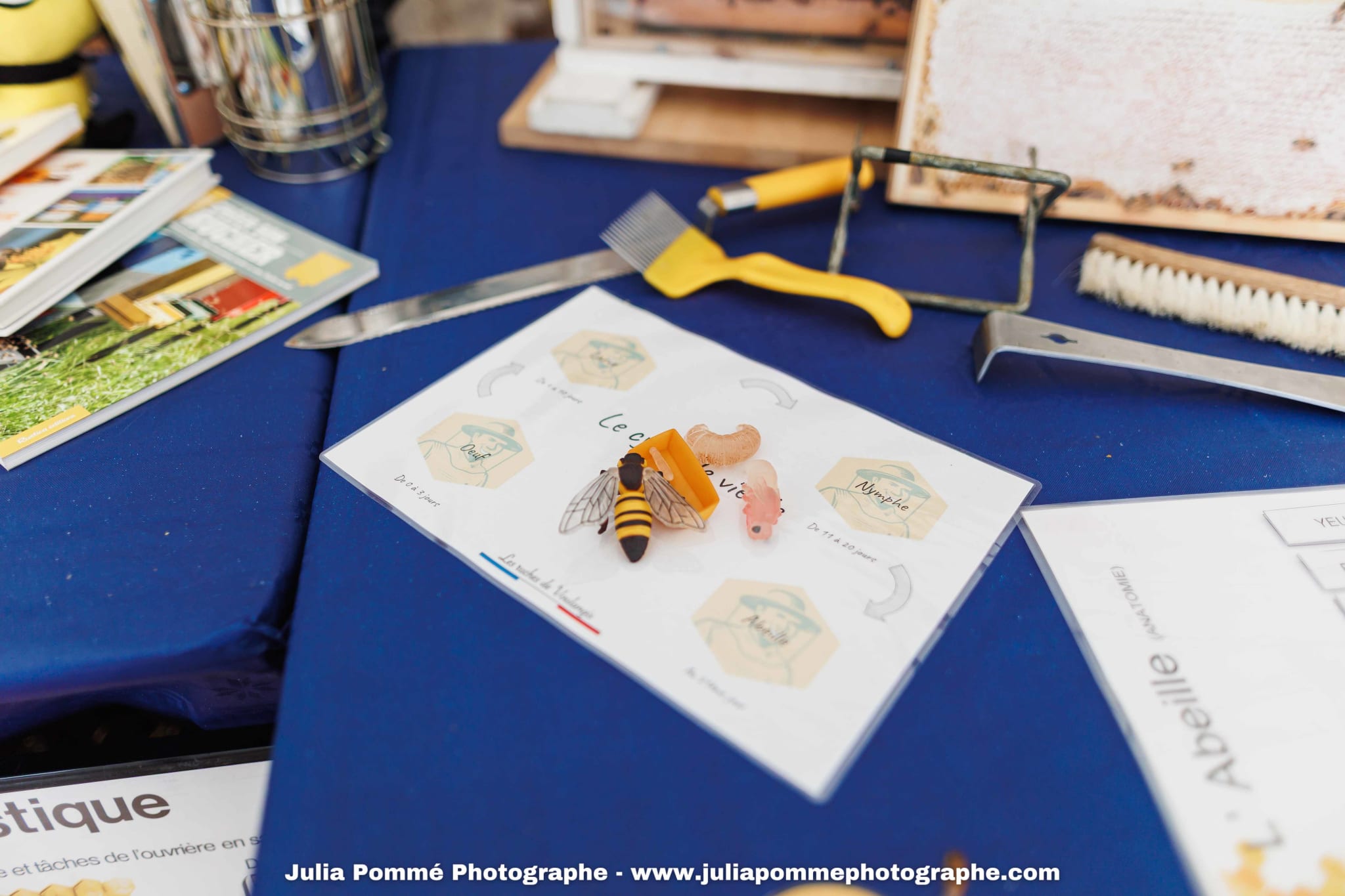 Photo du salon 2025 par Julia Pommé Photographe.