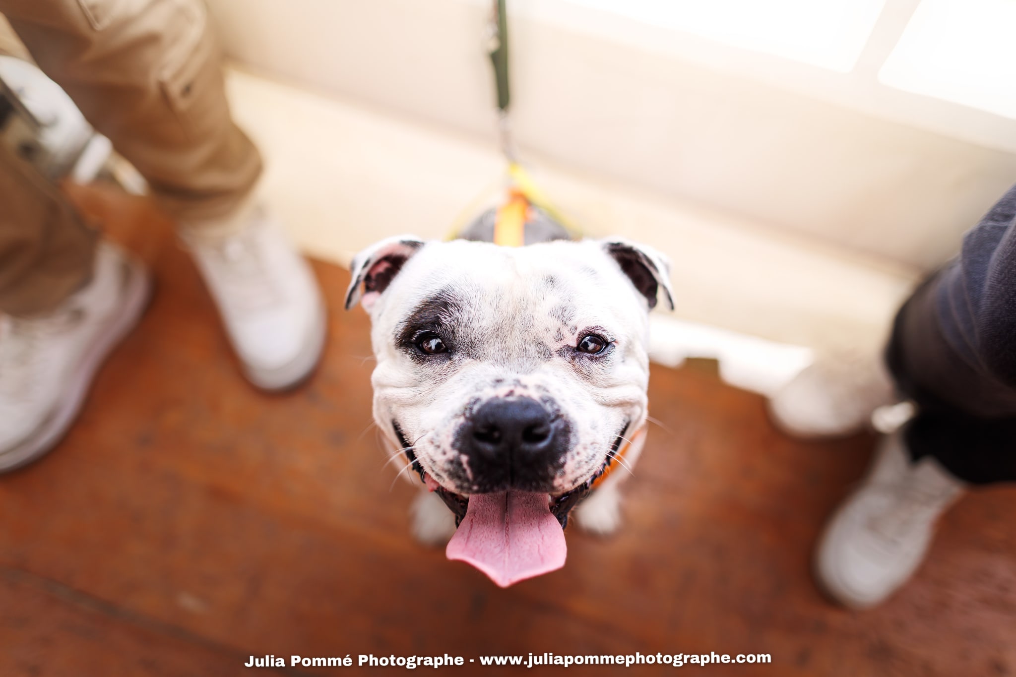 Photo du salon 2025 par Julia Pommé Photographe.