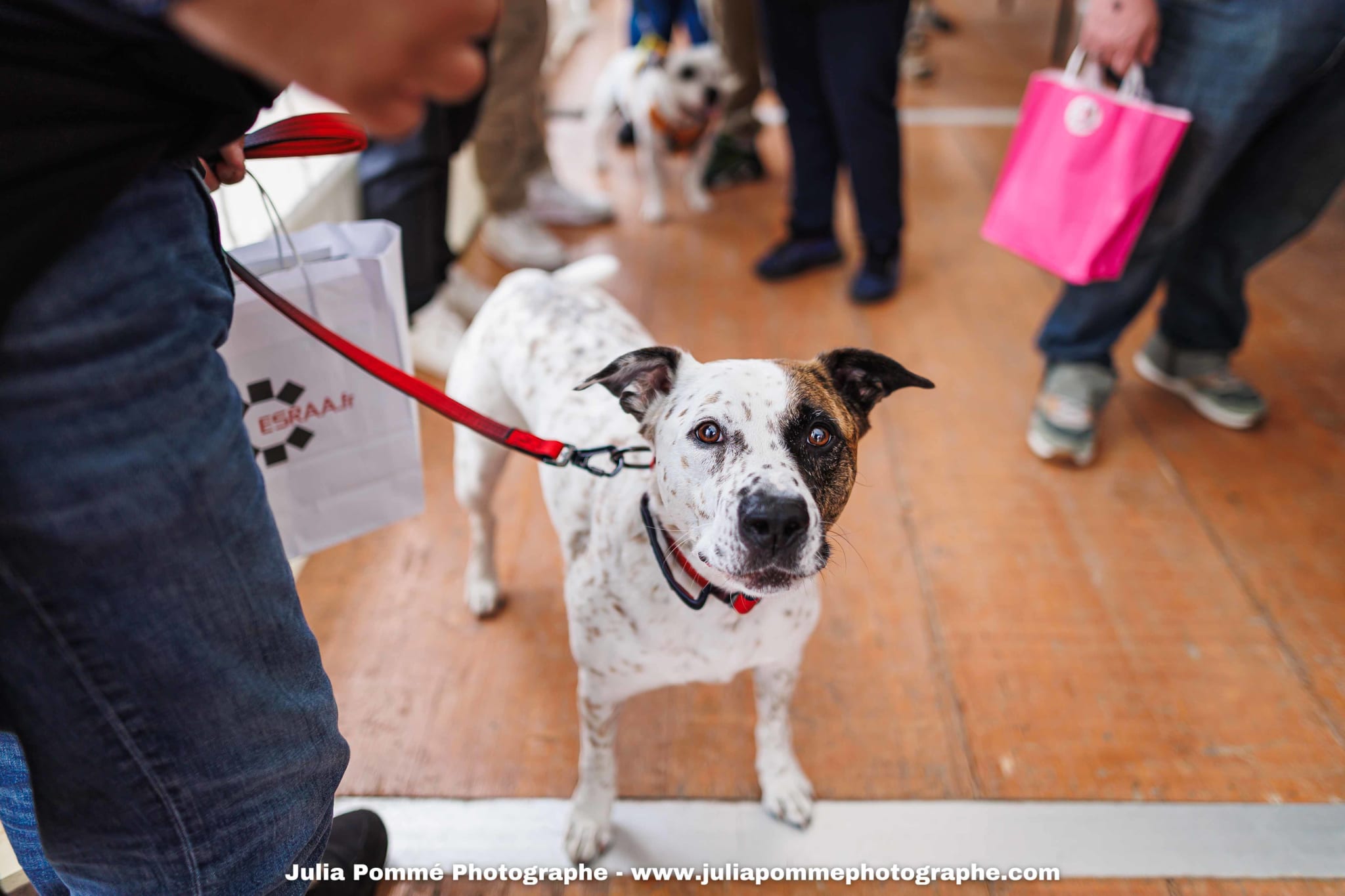 Photo du salon 2025 par Julia Pommé Photographe.