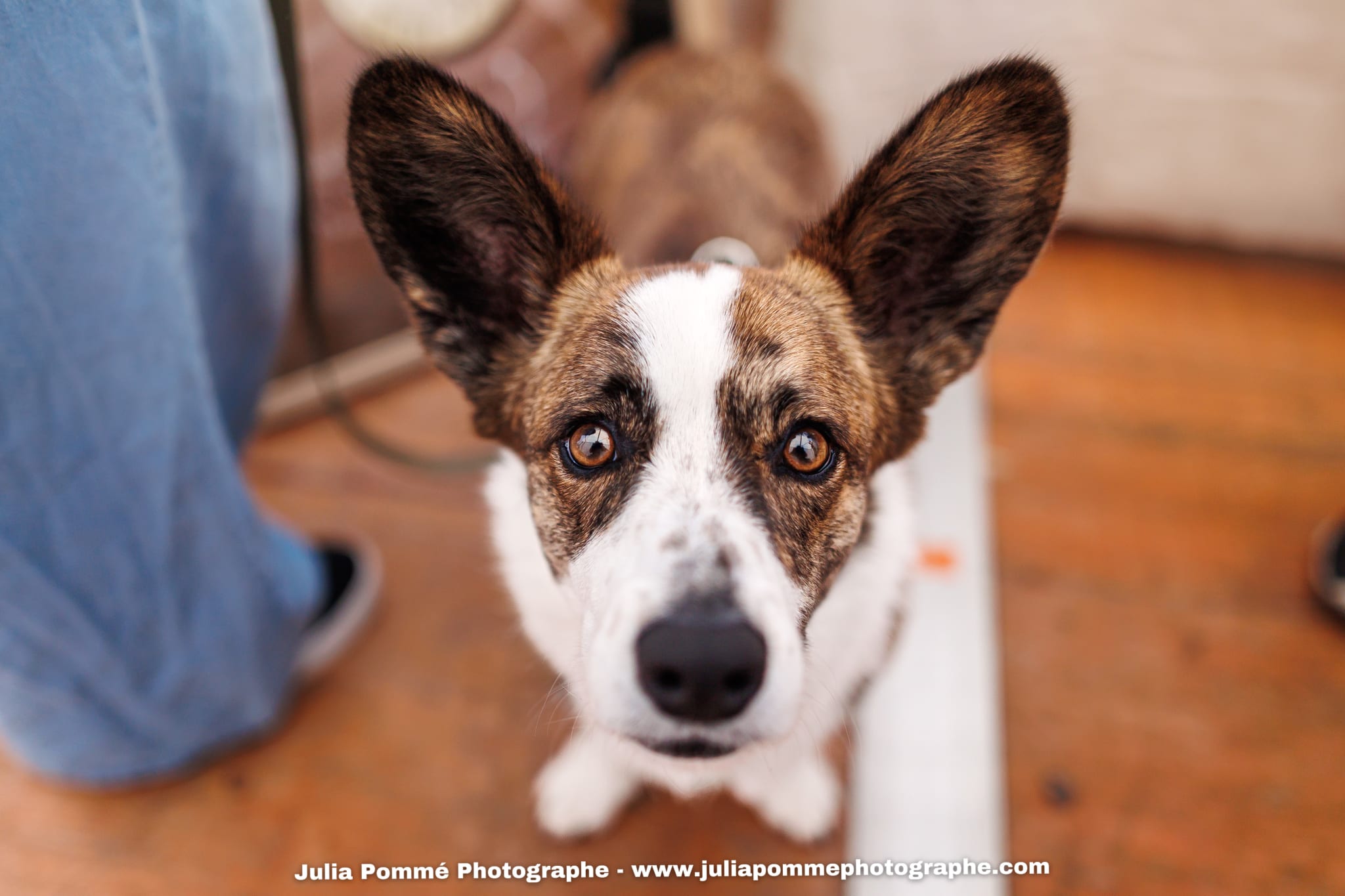 Photo du salon 2025 par Julia Pommé Photographe.