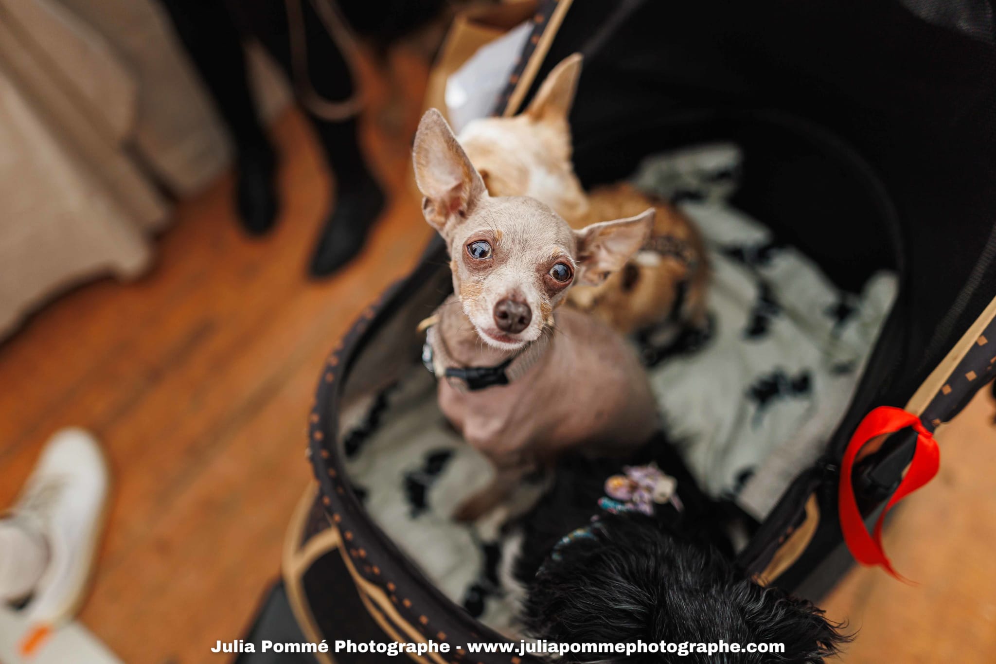 Photo du salon 2025 par Julia Pommé Photographe.