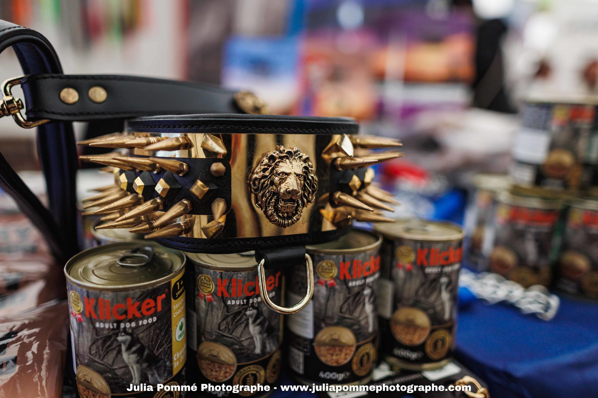 Photo du salon 2025 par Julia Pommé Photographe.