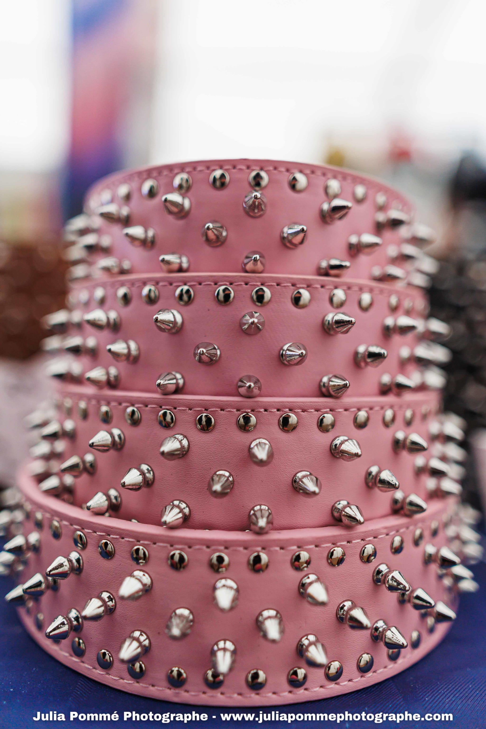 Photo du salon 2025 par Julia Pommé Photographe.