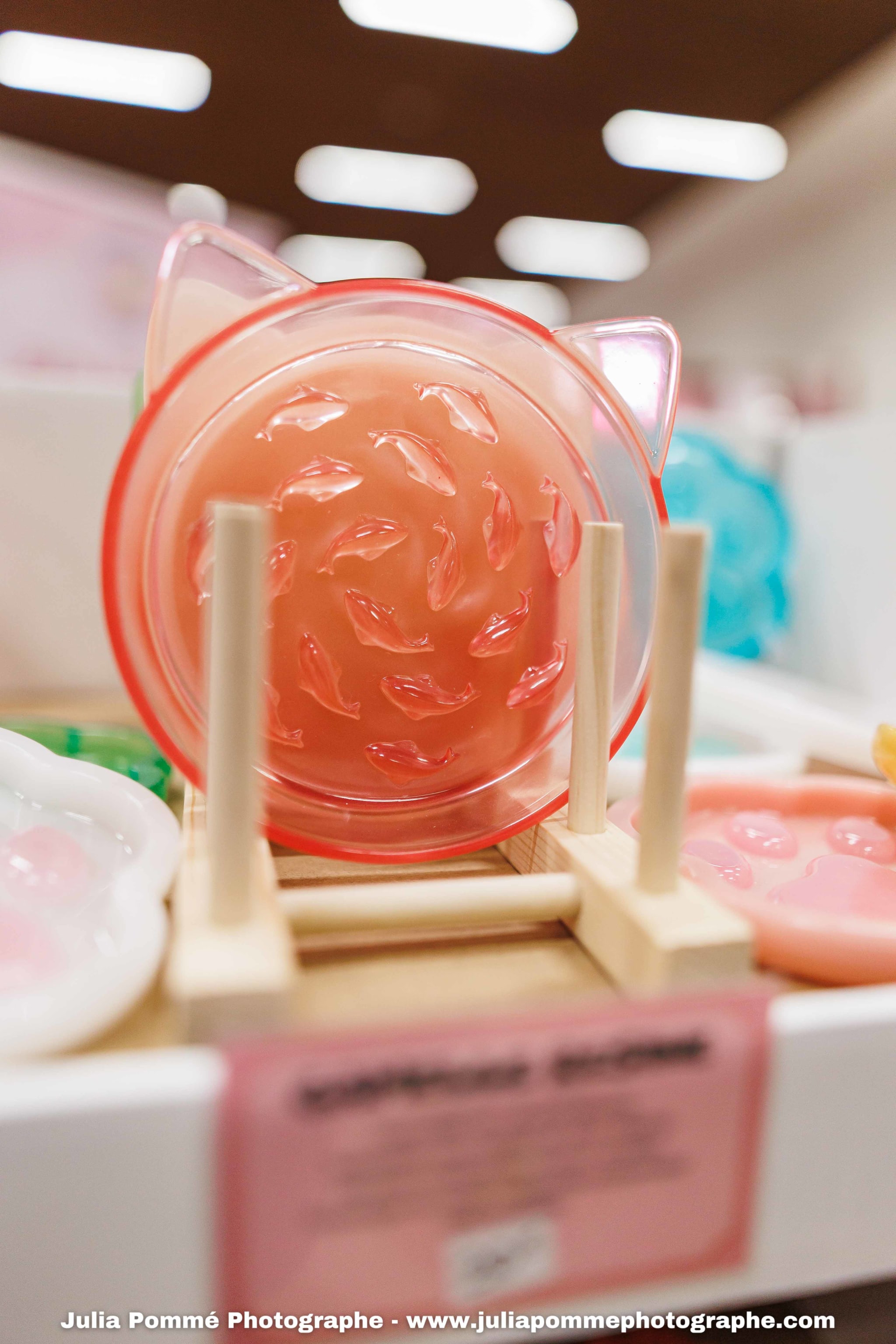 Photo du salon 2025 par Julia Pommé Photographe.