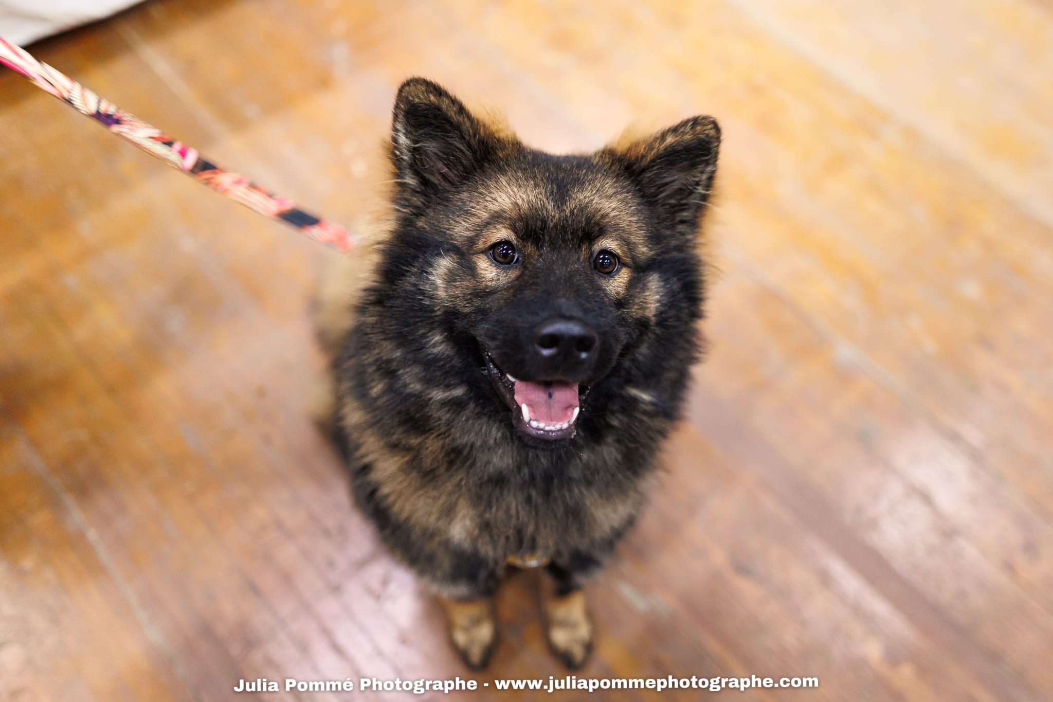 Photo du salon 2025 par Julia Pommé Photographe.