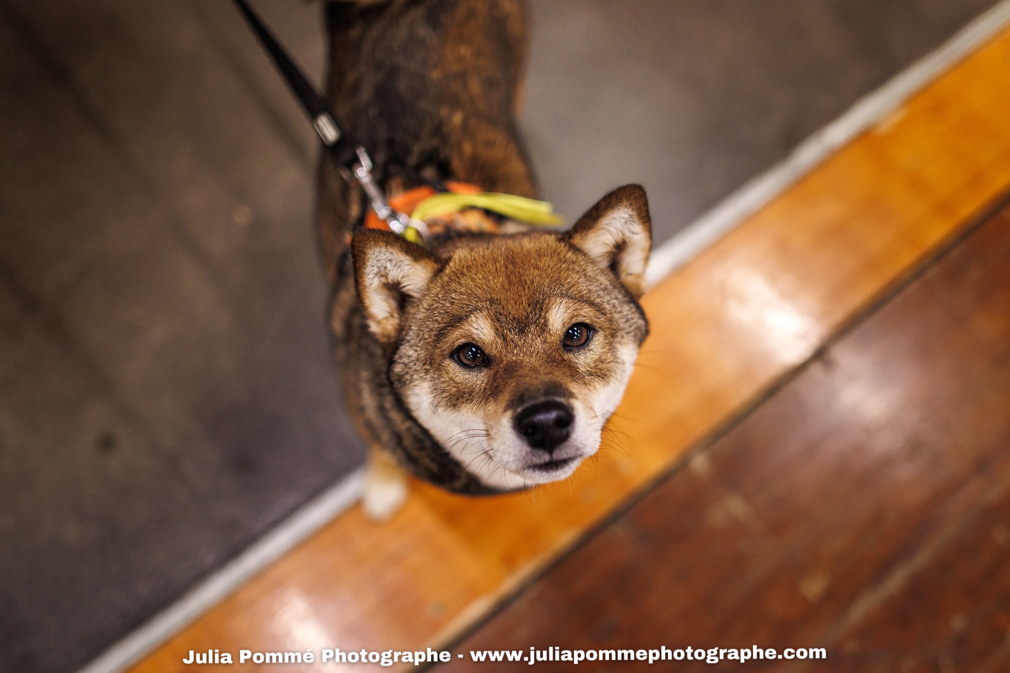 Photo du salon 2025 par Julia Pommé Photographe.