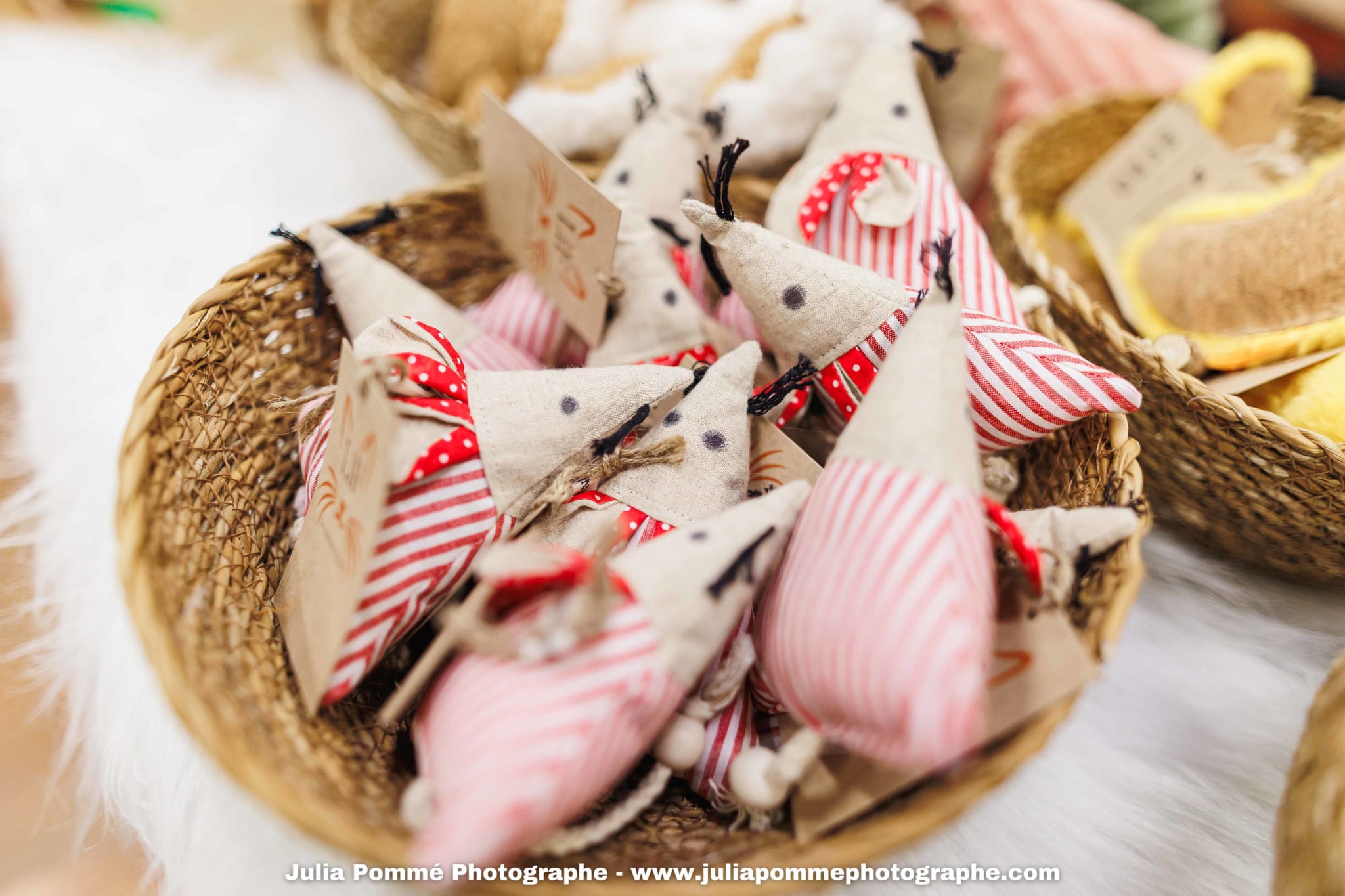 Photo du salon 2025 par Julia Pommé Photographe.