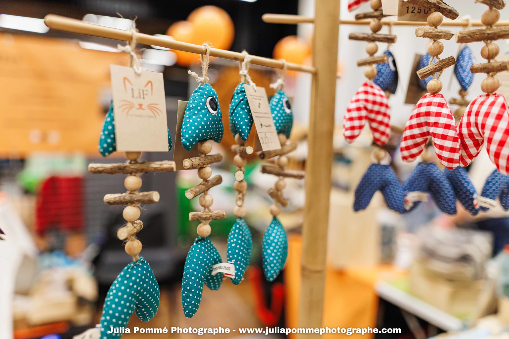 Photo du salon 2025 par Julia Pommé Photographe.