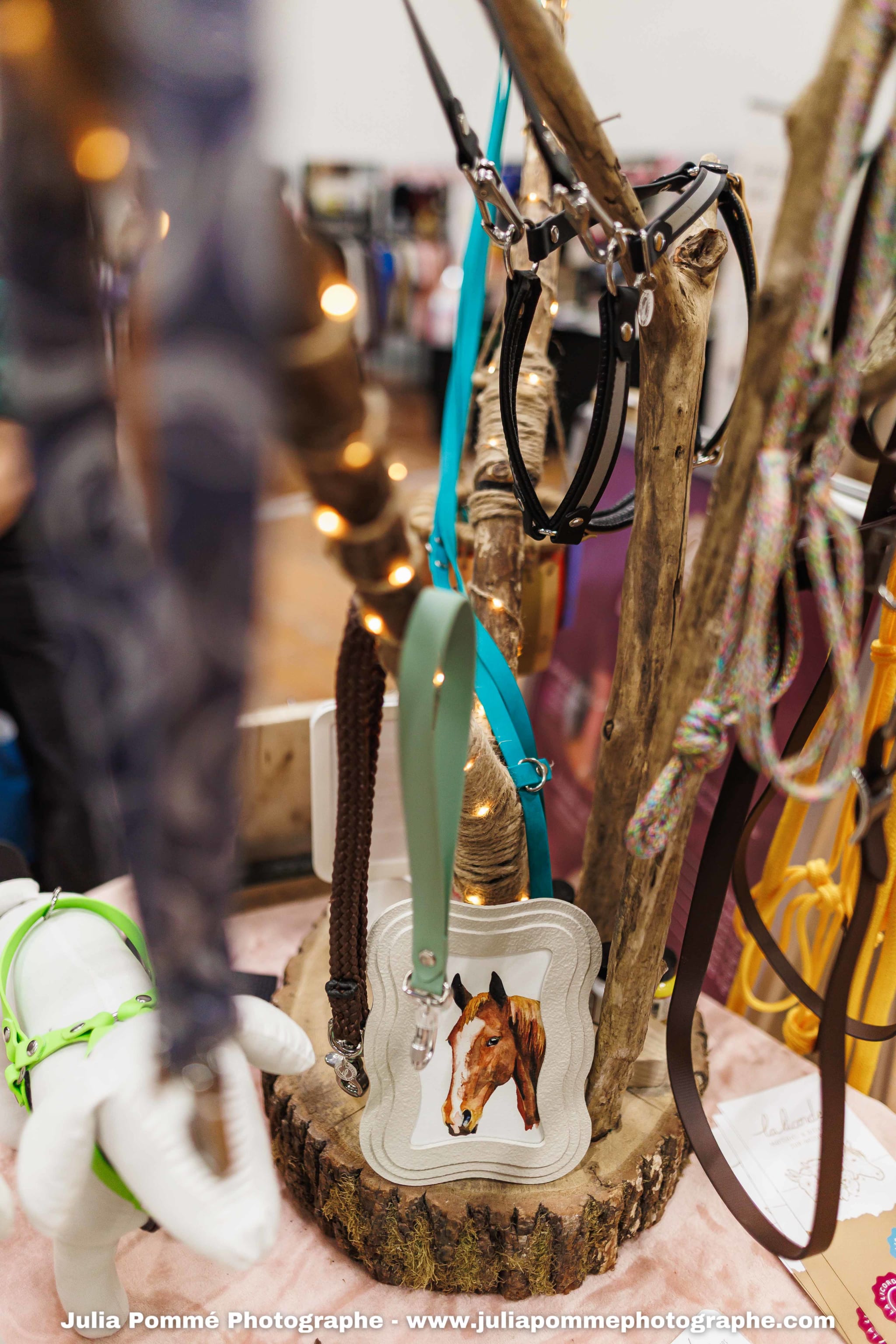 Photo du salon 2025 par Julia Pommé Photographe.