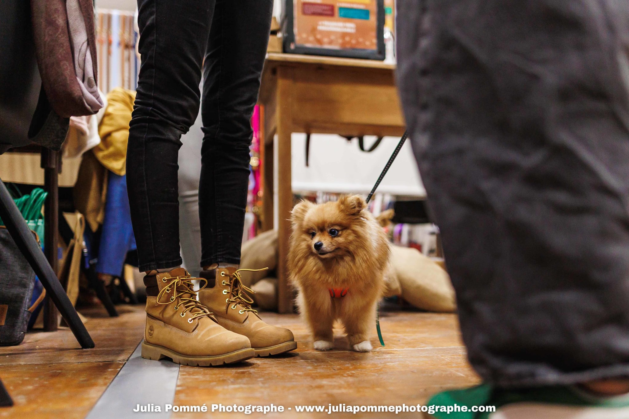 Photo du salon 2025 par Julia Pommé Photographe.