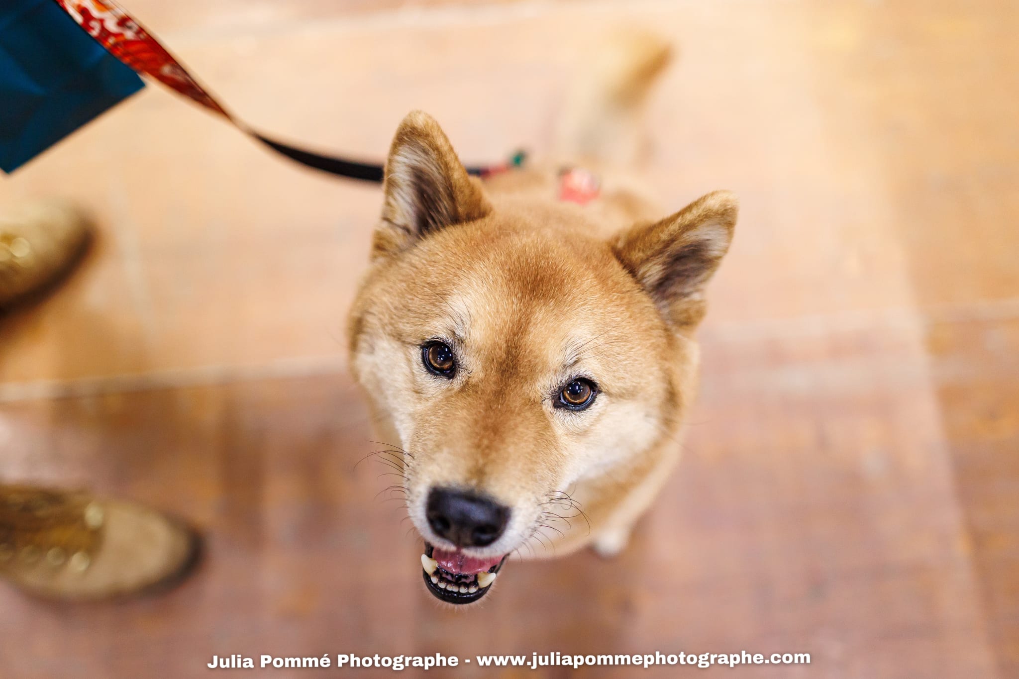 Photo du salon 2025 par Julia Pommé Photographe.