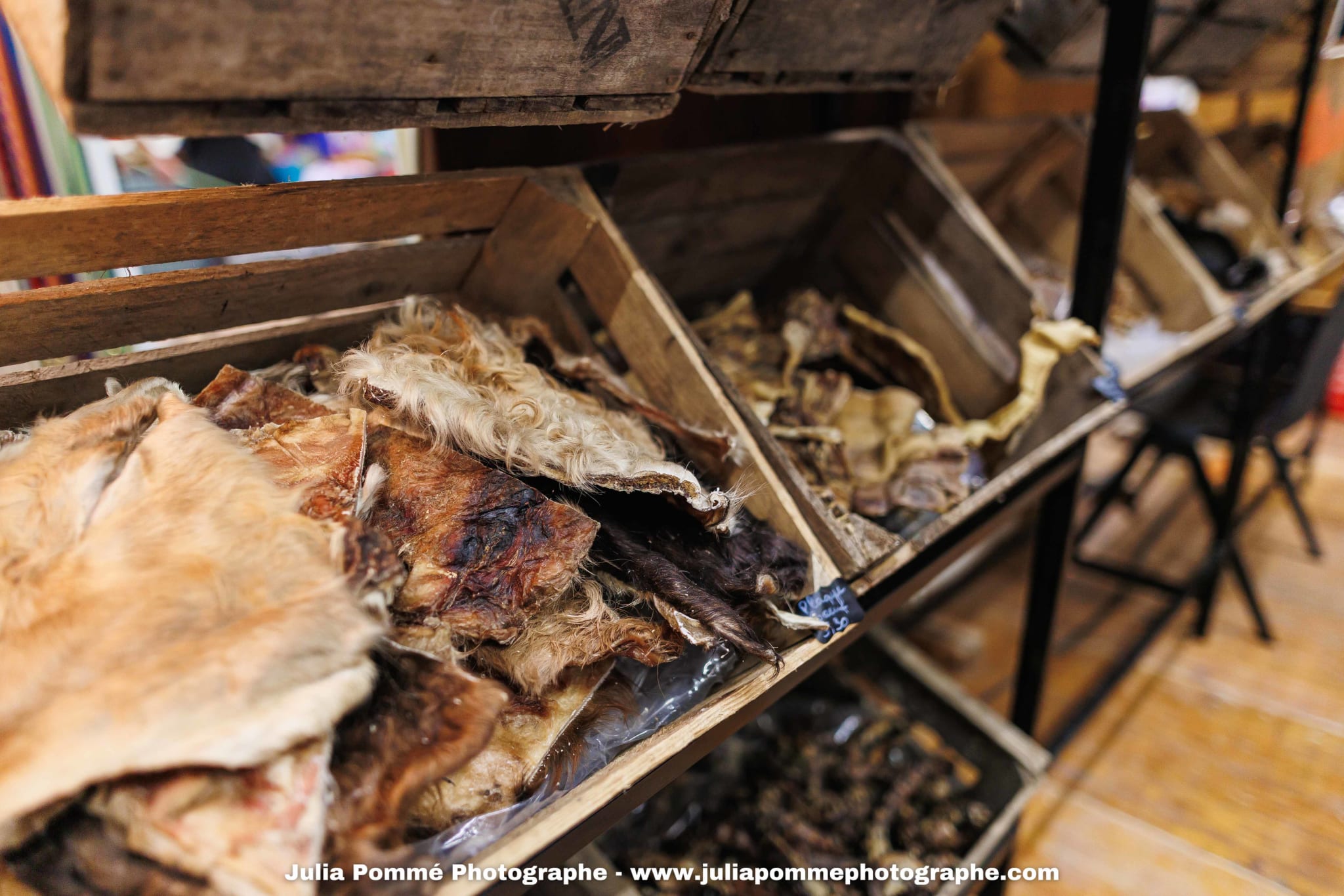 Photo du salon 2025 par Julia Pommé Photographe.