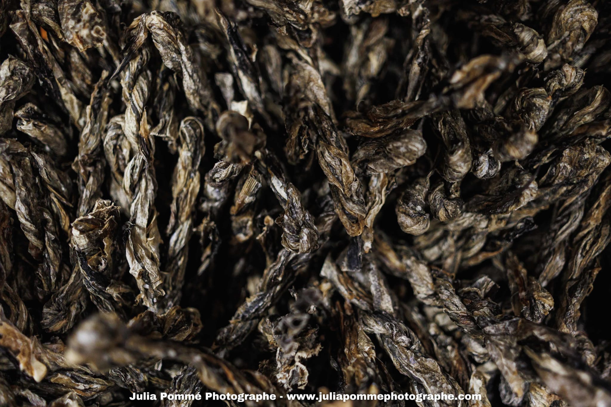 Photo du salon 2025 par Julia Pommé Photographe.