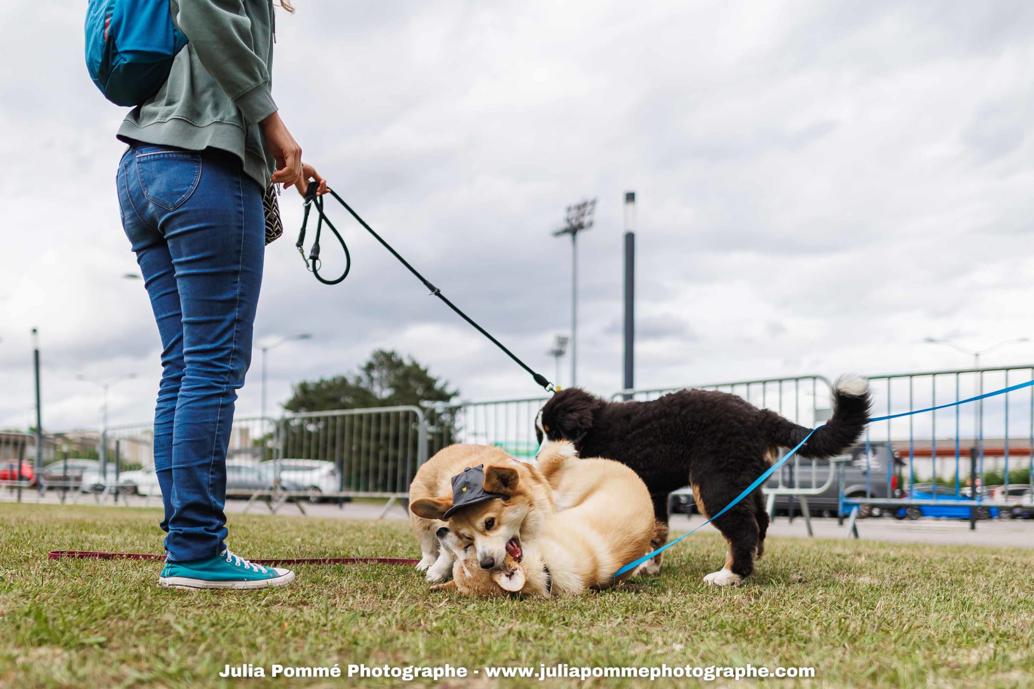 Photo du salon 2025 par Julia Pommé Photographe.
